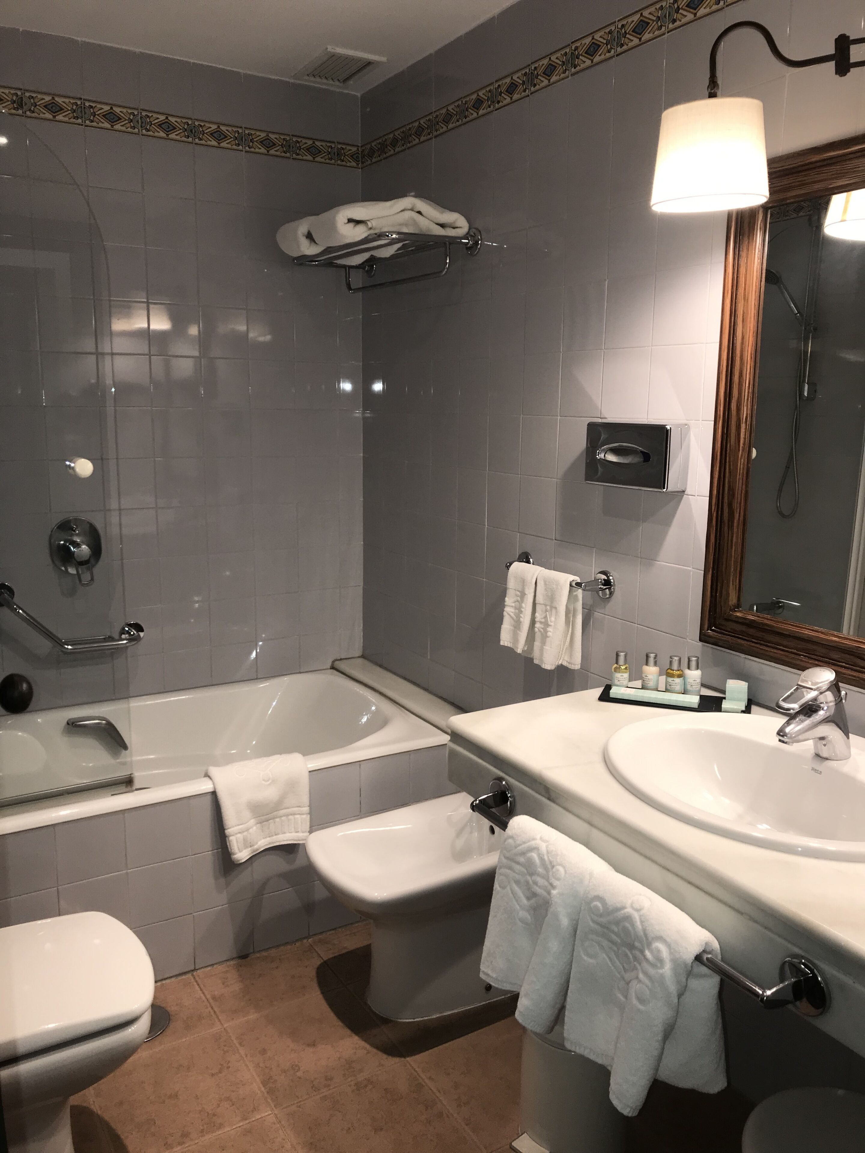 hair dryer, bidet, towels