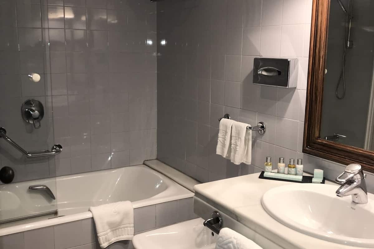 hair dryer, bidet, towels