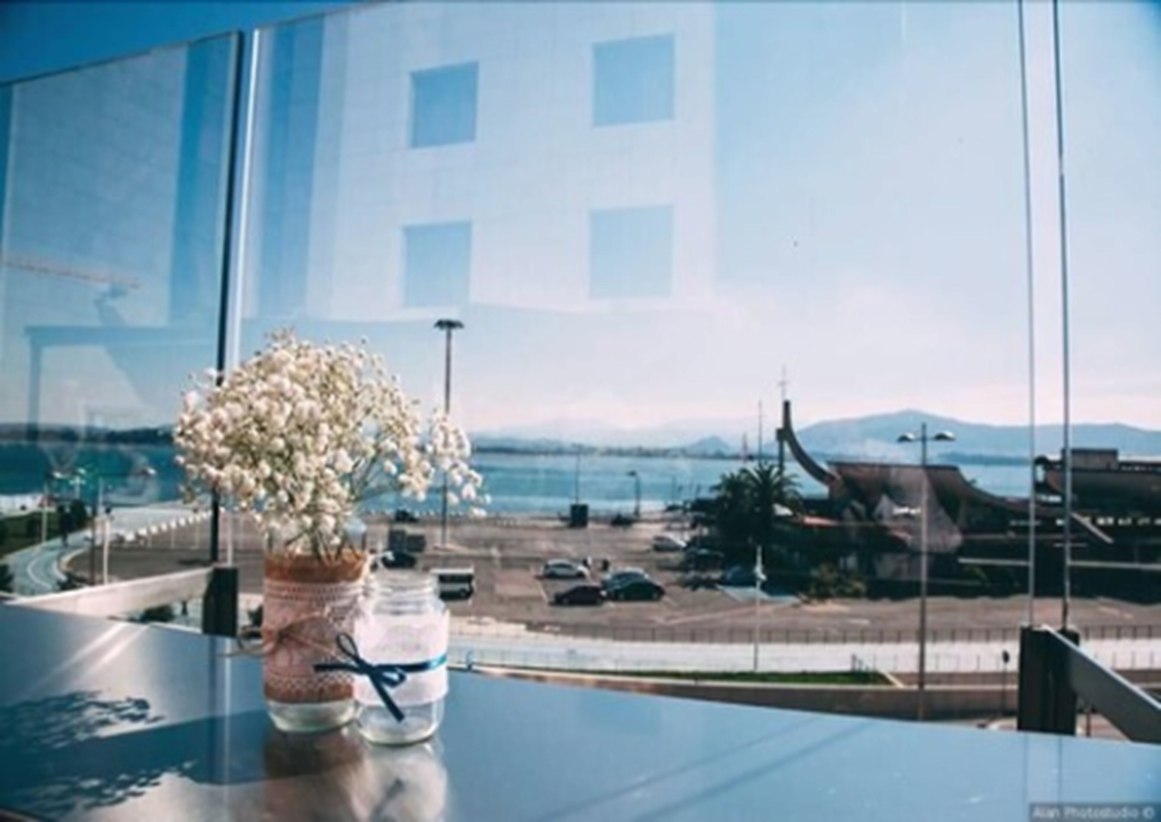 A view from a window with a vase of white flowers on a table, overlooking a coastal area with buildings and a road.