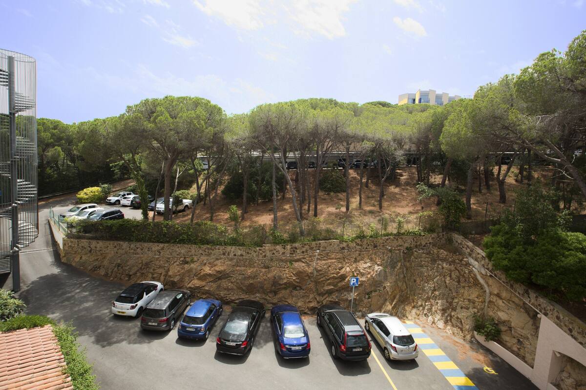 self-parking (surcharge) 12 per night