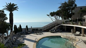 Un espace piscine avec des chaises longues et un palmier, donnant sur une étendue d’eau.