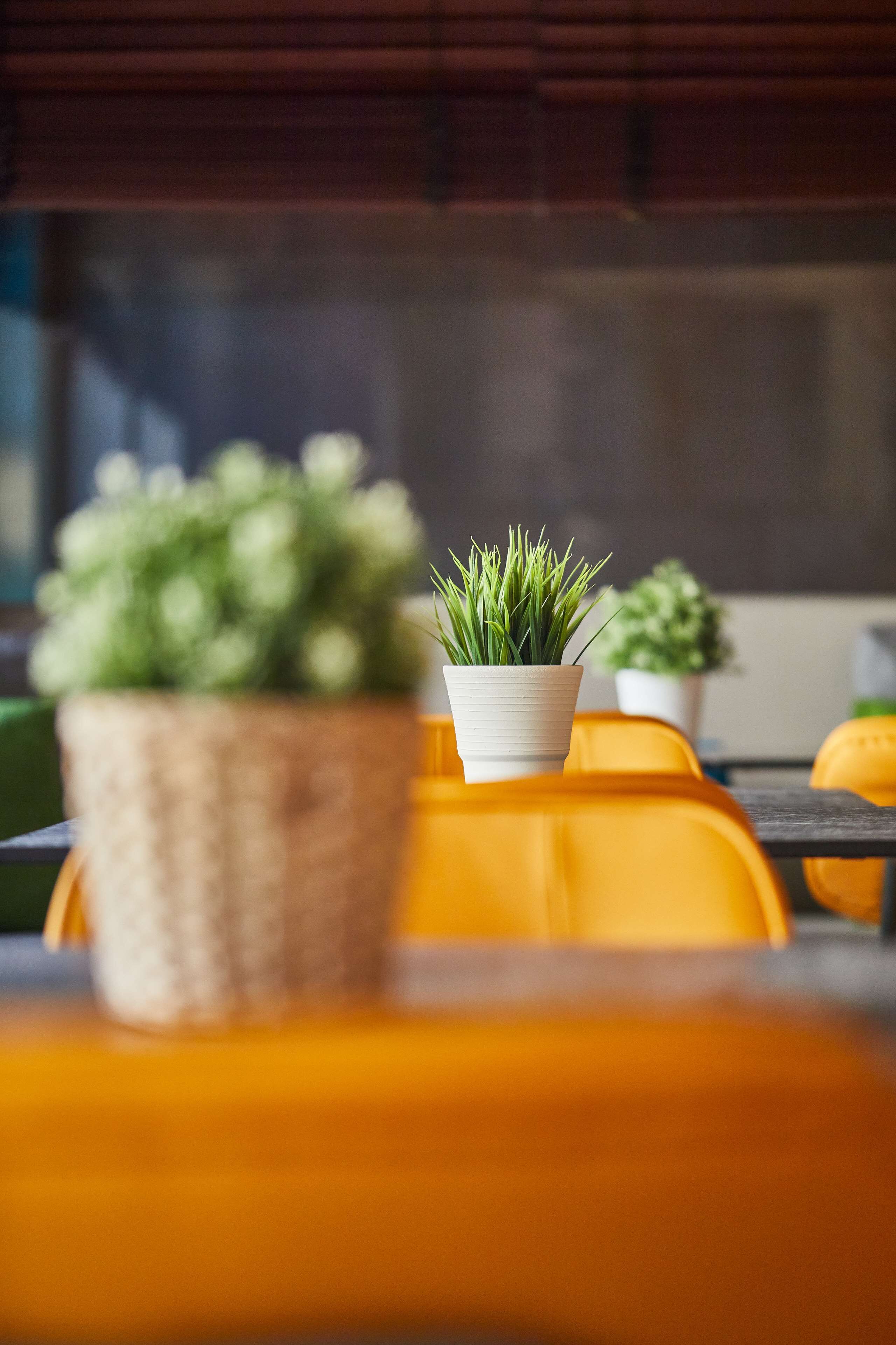 Photo - Silken Luis de León