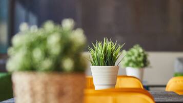 Een close-up van een tafel met twee planten in potten, waarvan één in een geweven mand en de andere in een witte pot, met een wazige achtergrond.