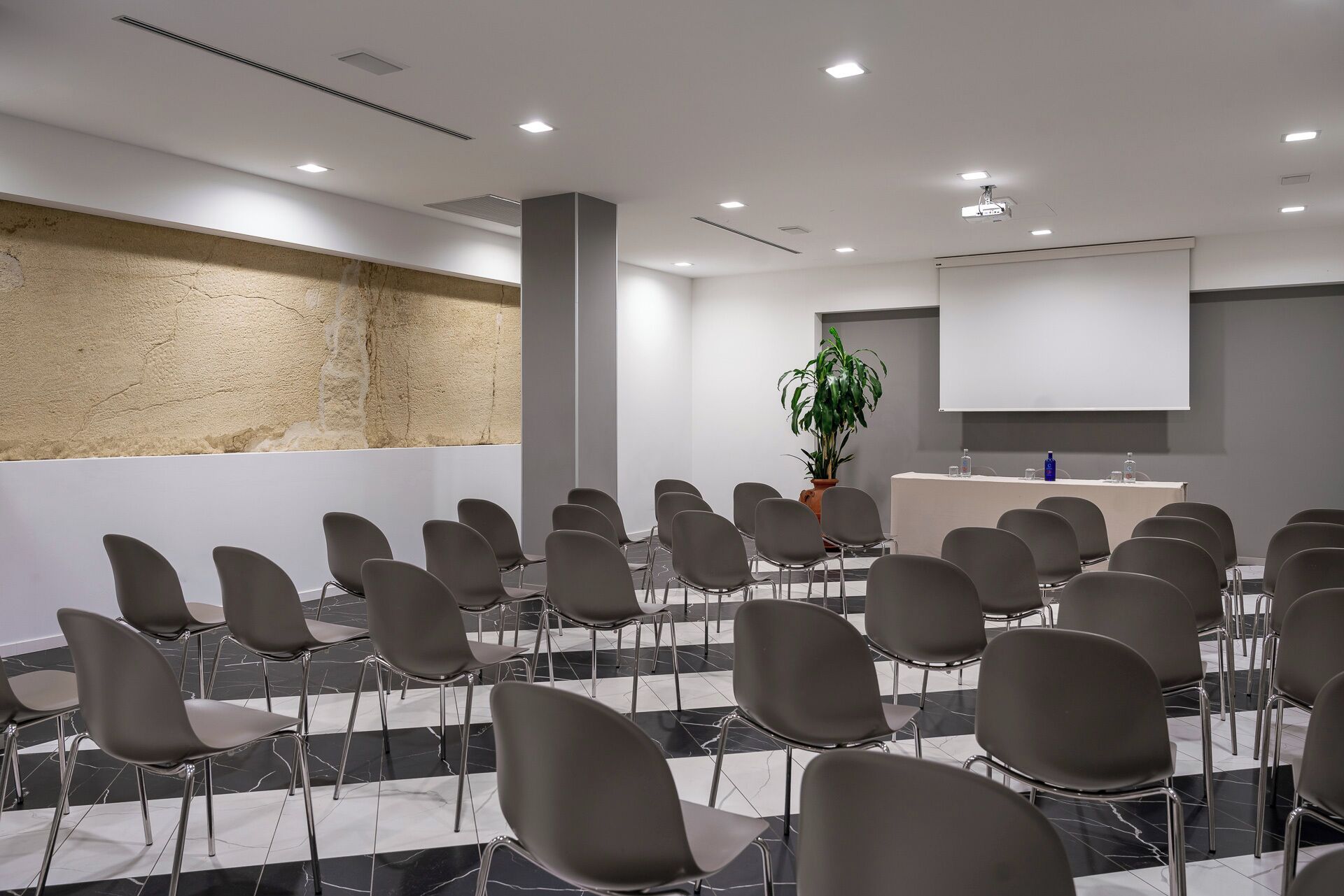 A conference room with rows of chairs, a podium, a projector screen, and a large plant.