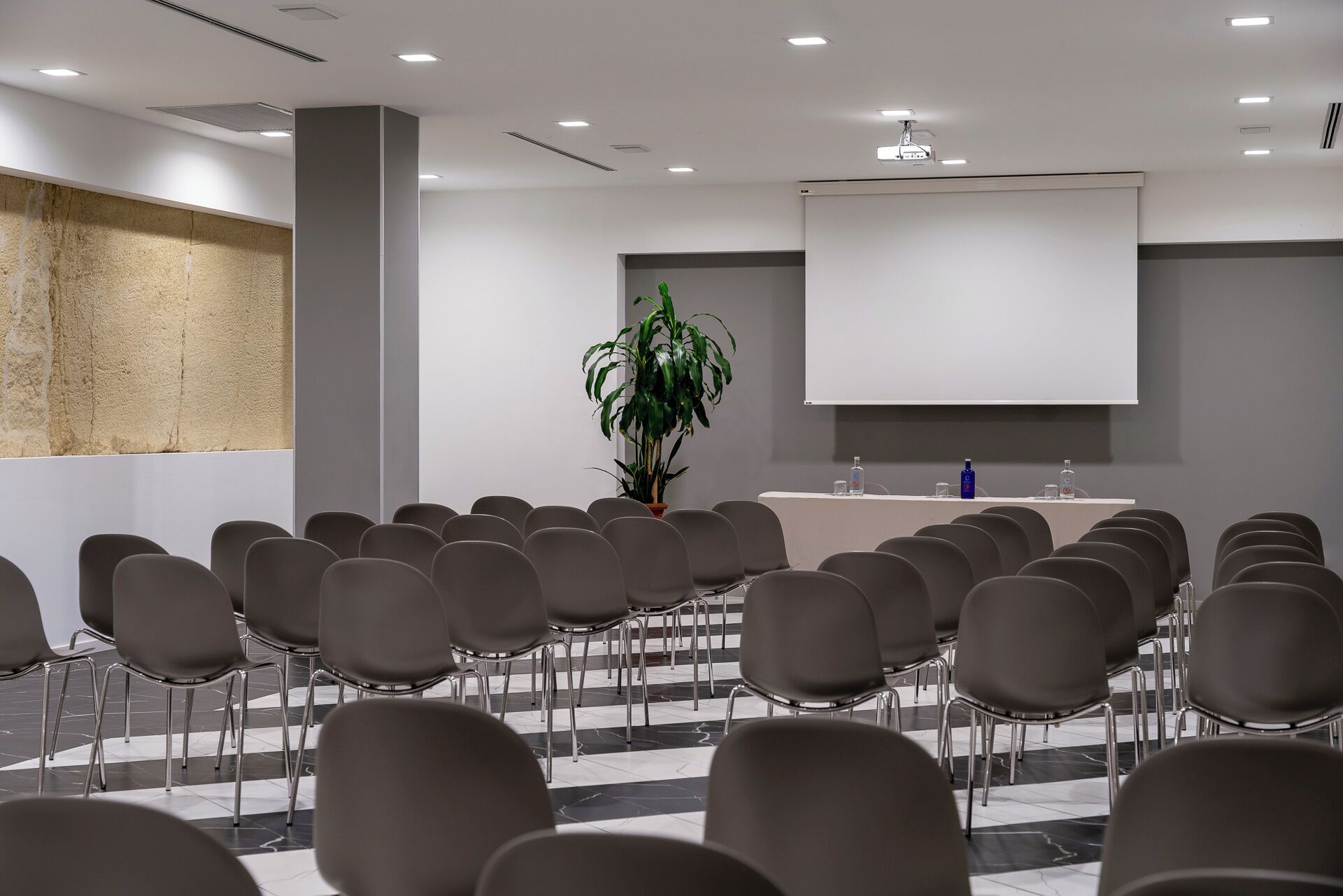 Una sala conferenze con file di sedie, un podio, uno schermo per proiettore e un'ampia pianta in vaso.