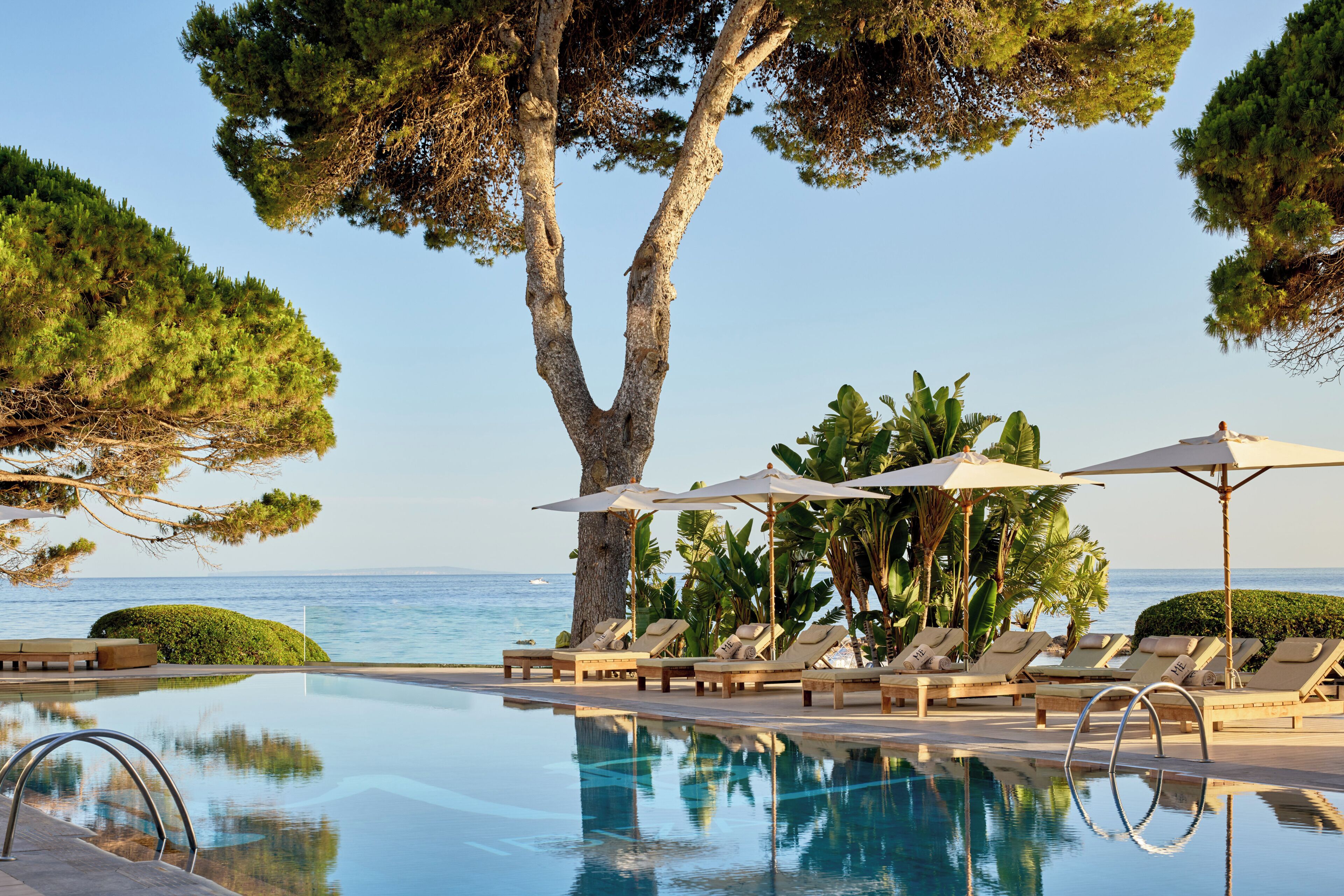 Un área de piscina con sillones de descanso, sombrillas y un gran árbol.