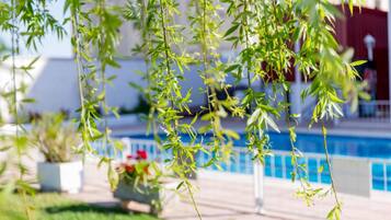 Zona junto a la piscina con plantas colgantes y vista despejada del agua.