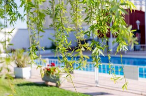 A poolside area with hanging plants and a clear view of a pool. - Hotel Velada Mérida (Merida)
