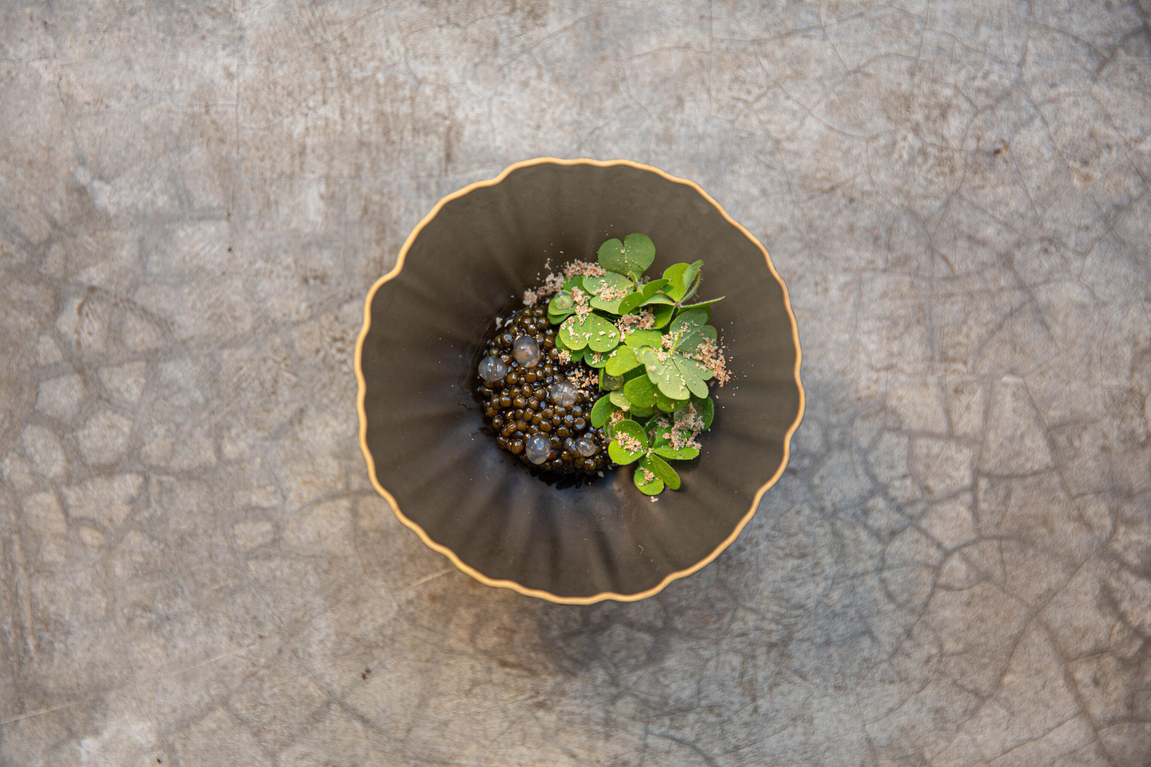 lunch and dinner served, garden views