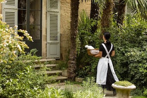 Garden - La Mirande (Avignon)