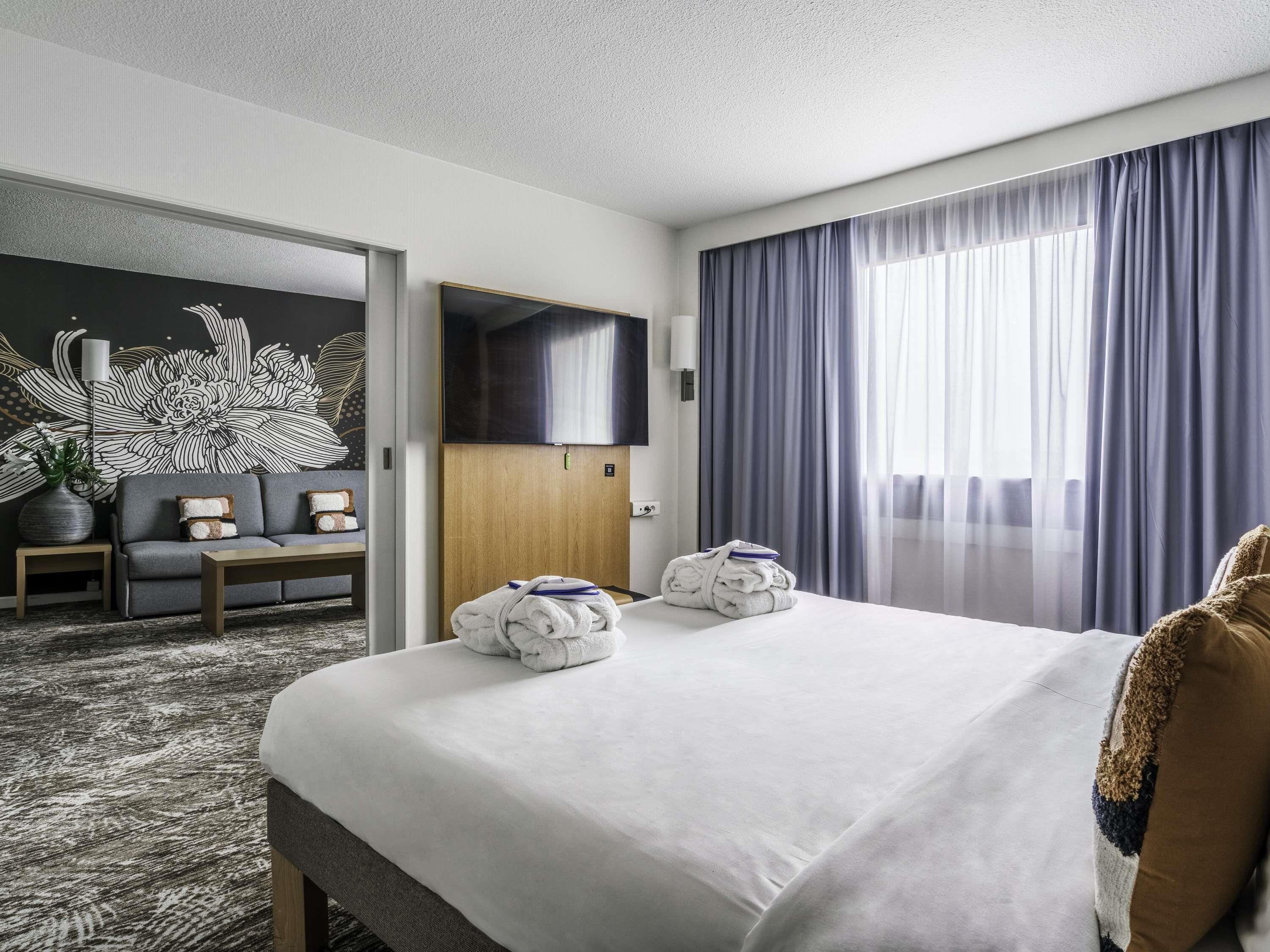 Suite, 1 King Bed with Sofa bed