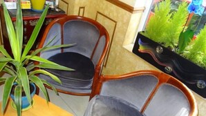 Two upholstered chairs with wooden frames and a potted plant on a table. - Villa Du Maine (Paris)