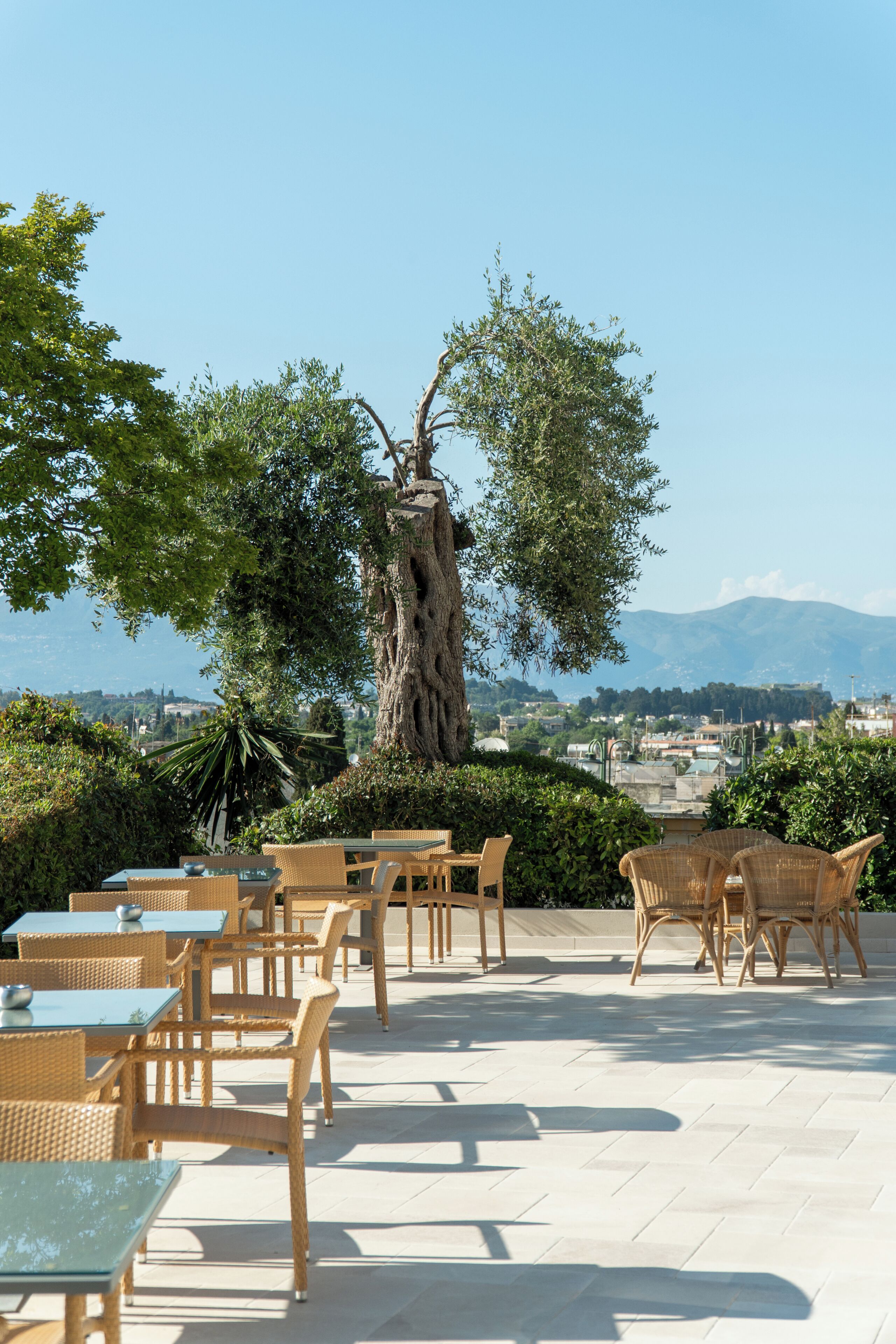 Un espace extérieur aménagé avec des meubles en osier et un grand arbre au centre.