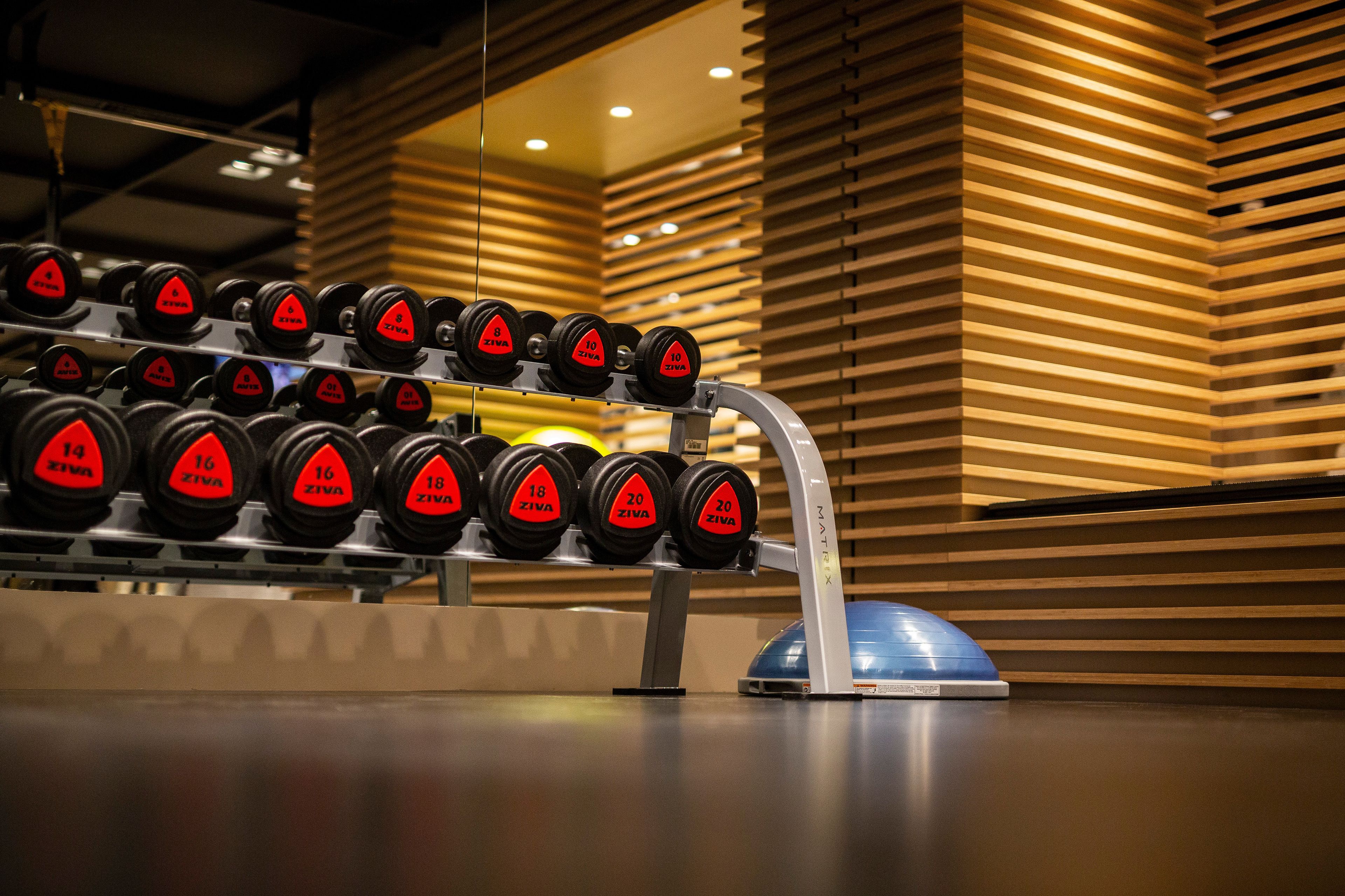 A rack of dumbbells with red labels, a blue exercise ball, and wooden slatted walls in a gym setting.