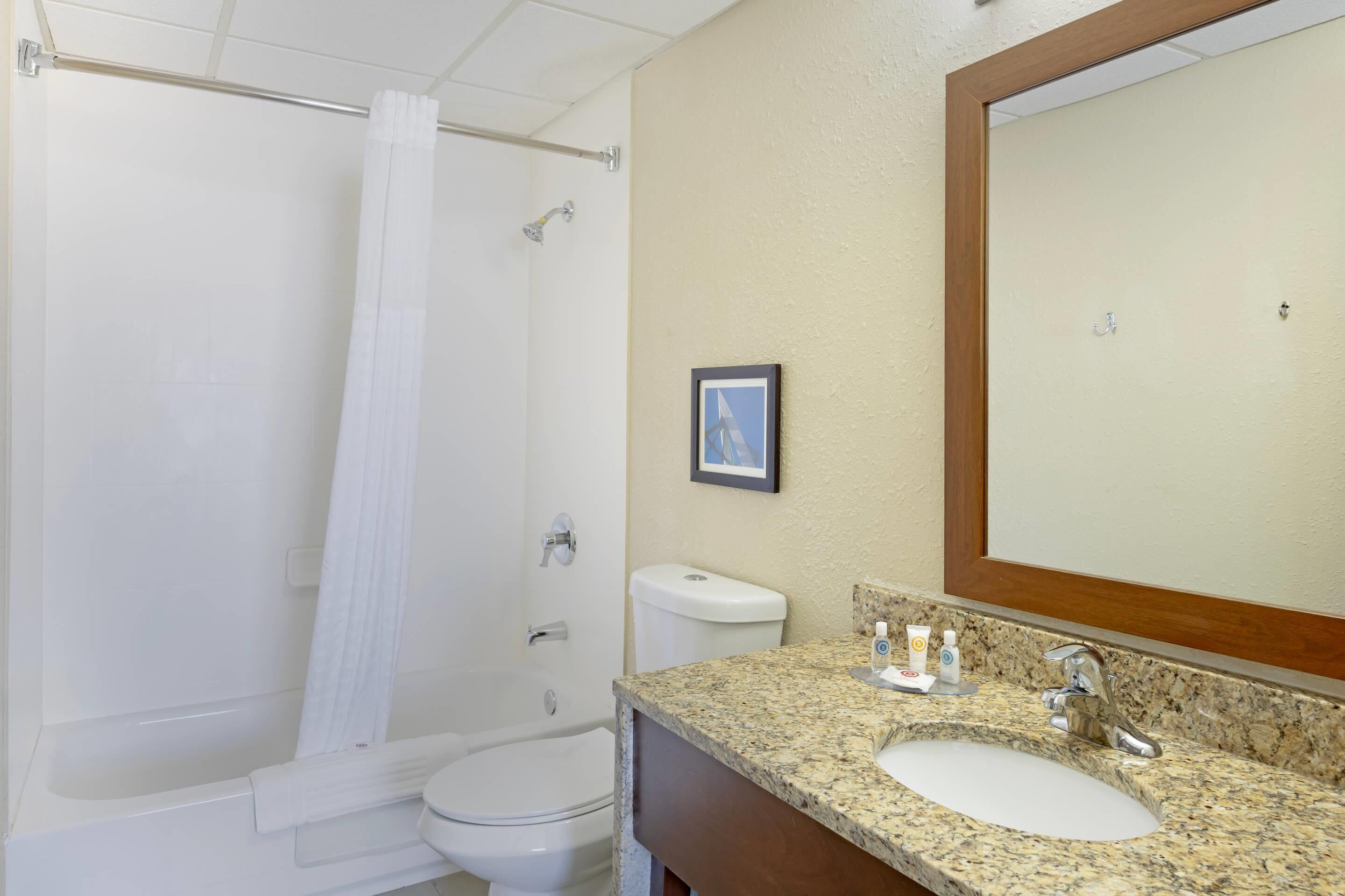 A bathroom with a shower, toilet, sink, and a large mirror.