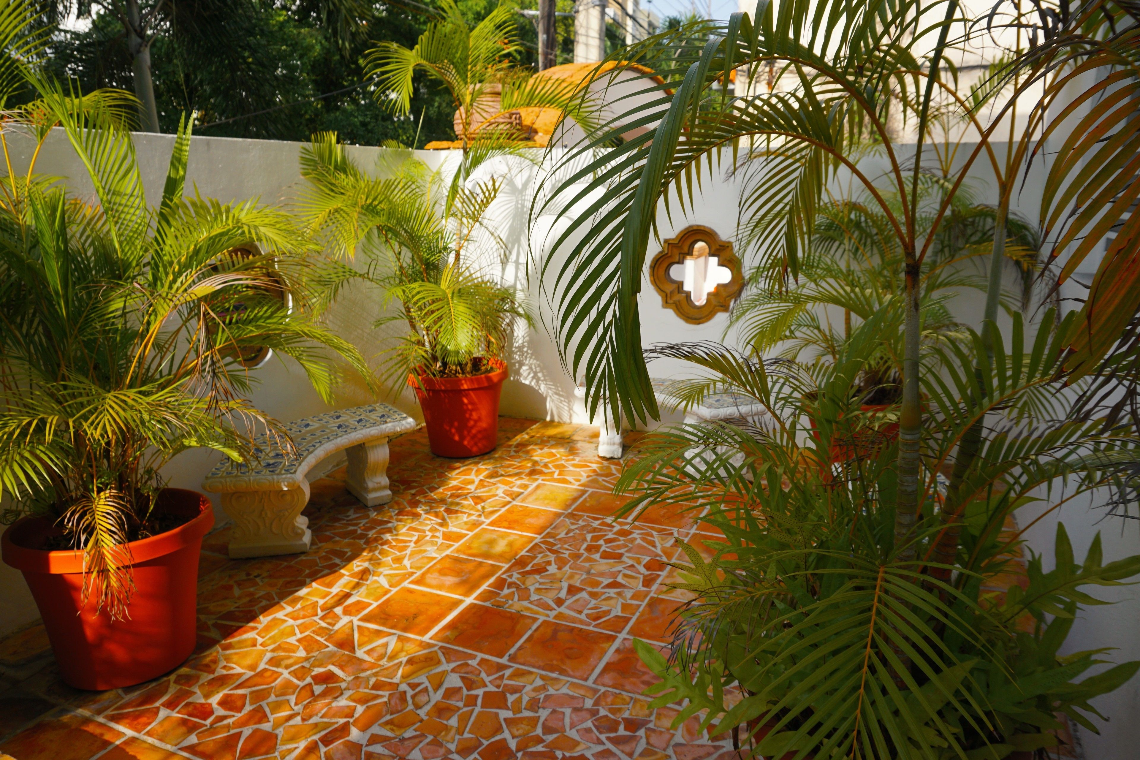 Front of property