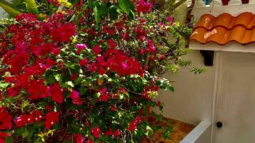 Un rigoglioso giardino con fiori rossi vivaci e verdeggiante vegetazione, una porta bianca e un tetto in tegole.