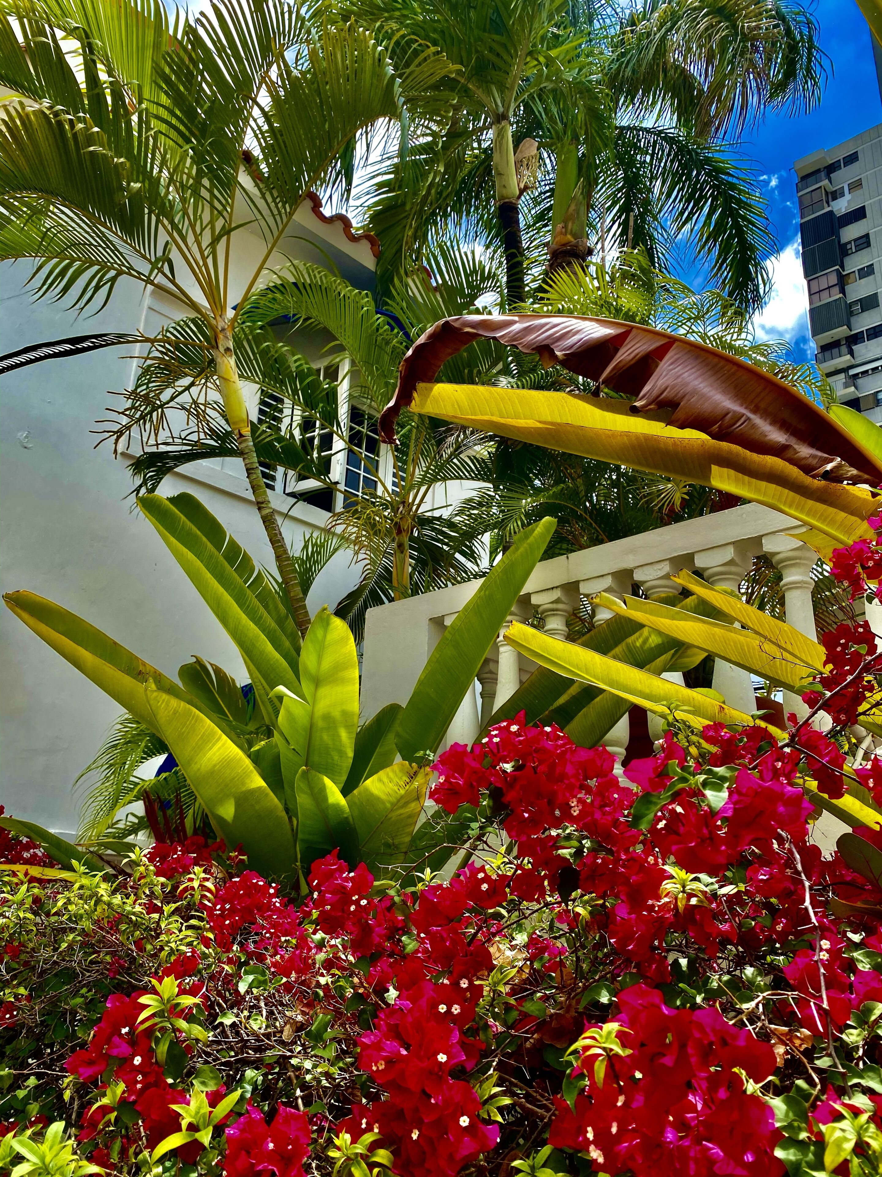 Photo - At Wind Chimes Boutique Hotel