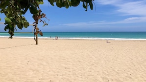 Una playa con una red de voleibol, una orilla arenosa y un cielo azul despejado.