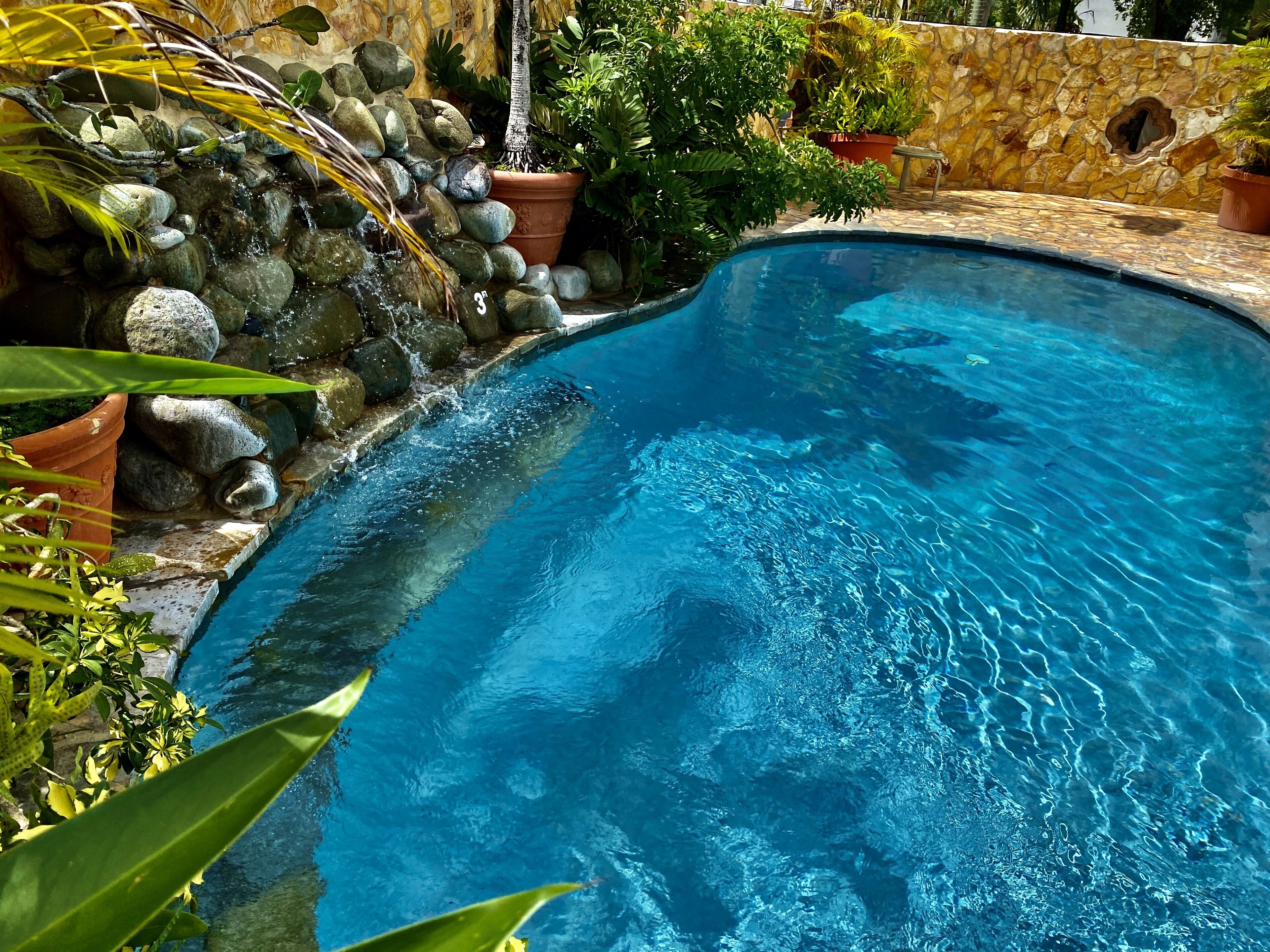 Une piscine à l’eau d’un bleu limpide, entourée de rochers et de plantes en pot.