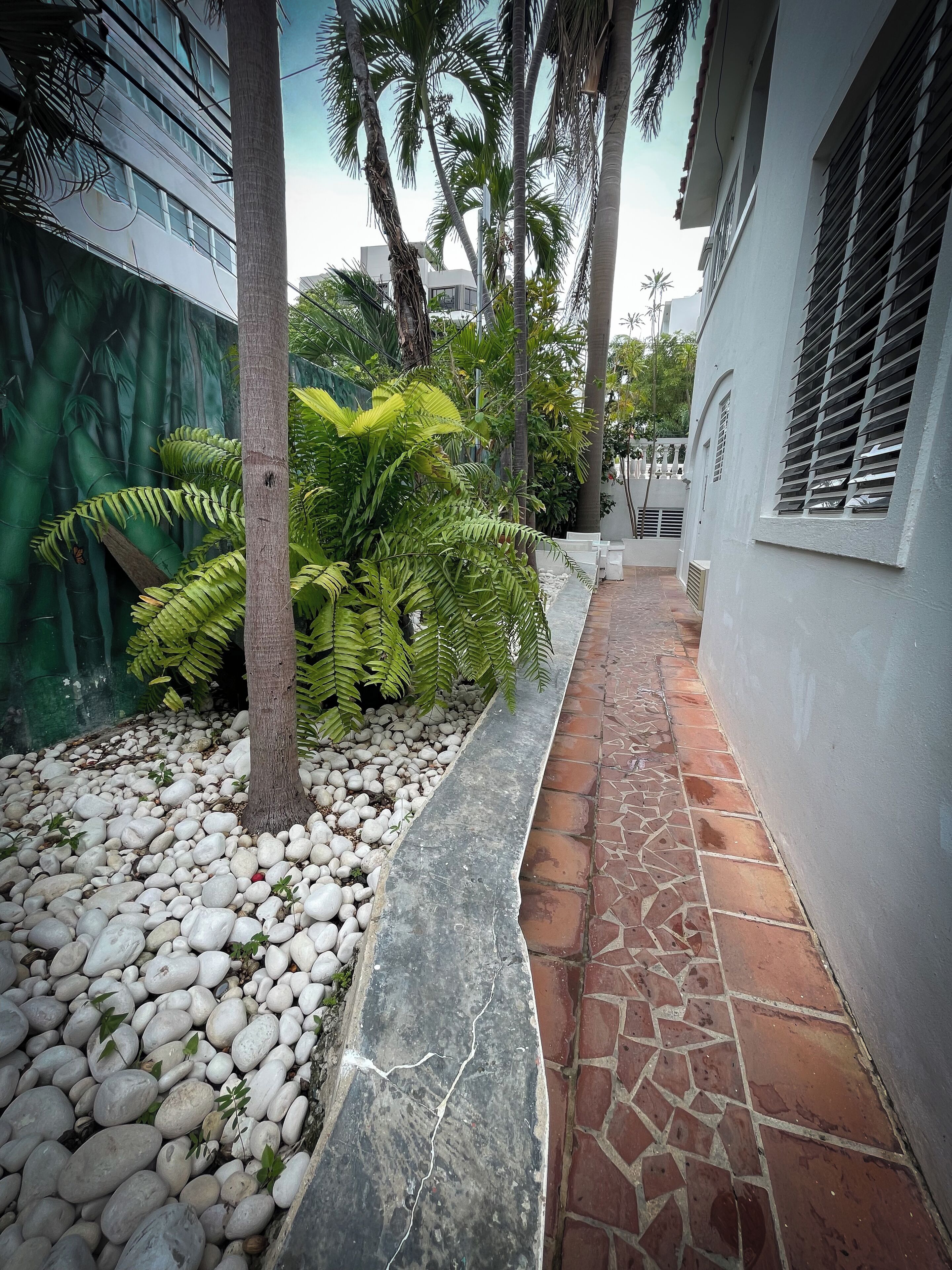 A pathway lined with white pebbles and a tiled border, flanked by lush green plants and palm trees.