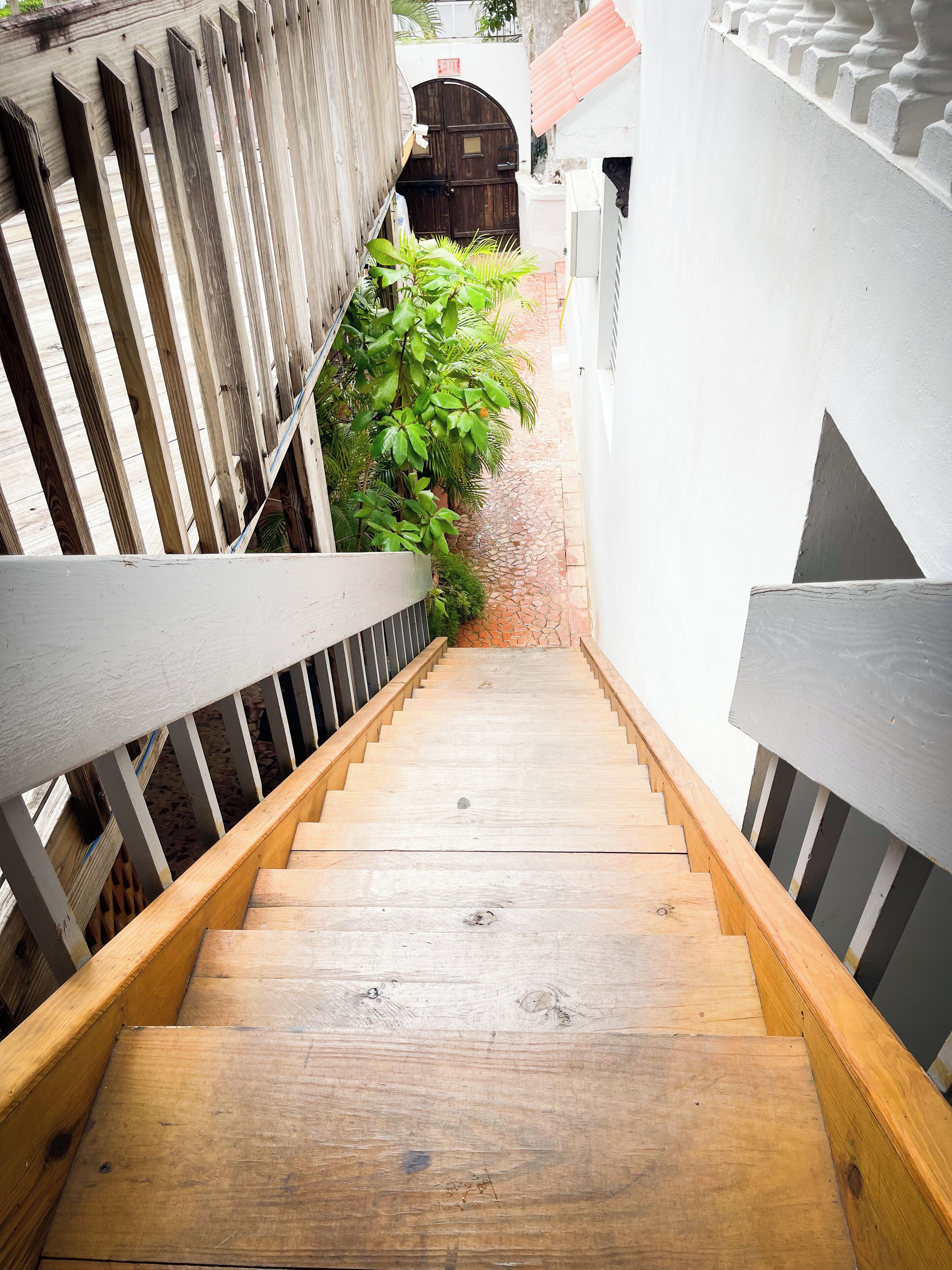 A wooden staircase leading to a door with a white wall and a plant beside it.