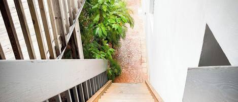 A wooden staircase leading to a door with a white wall and a plant beside it.