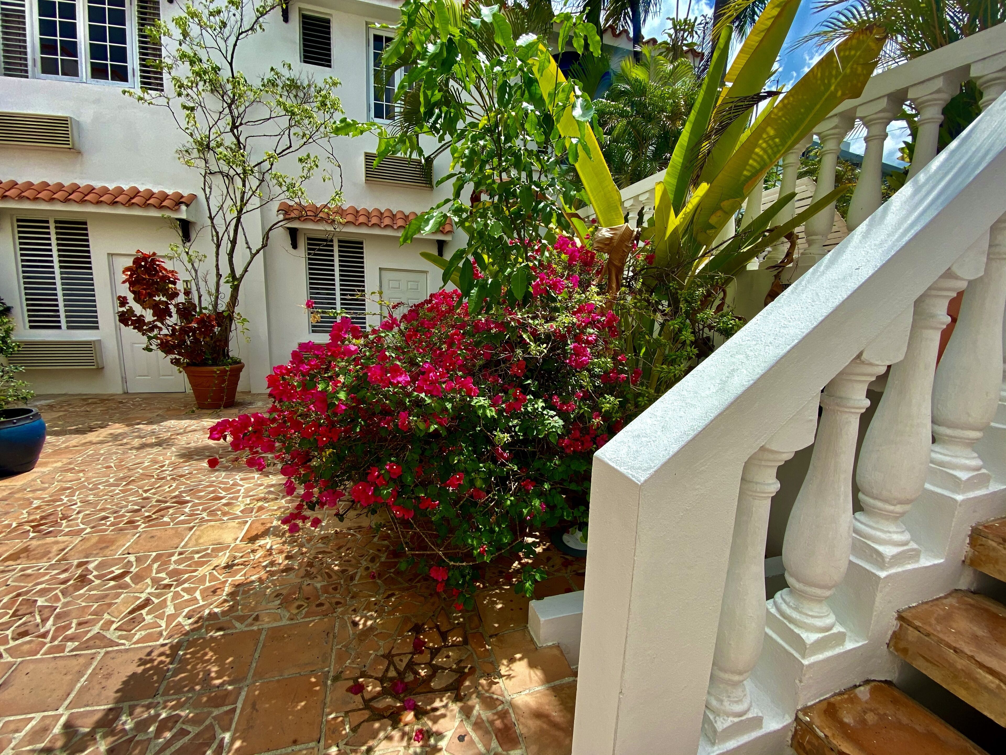 Un patio con piso de baldosas, plantas en macetas y una escalera con barandillas blancas.