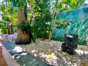 Double Double Standard | Garden view