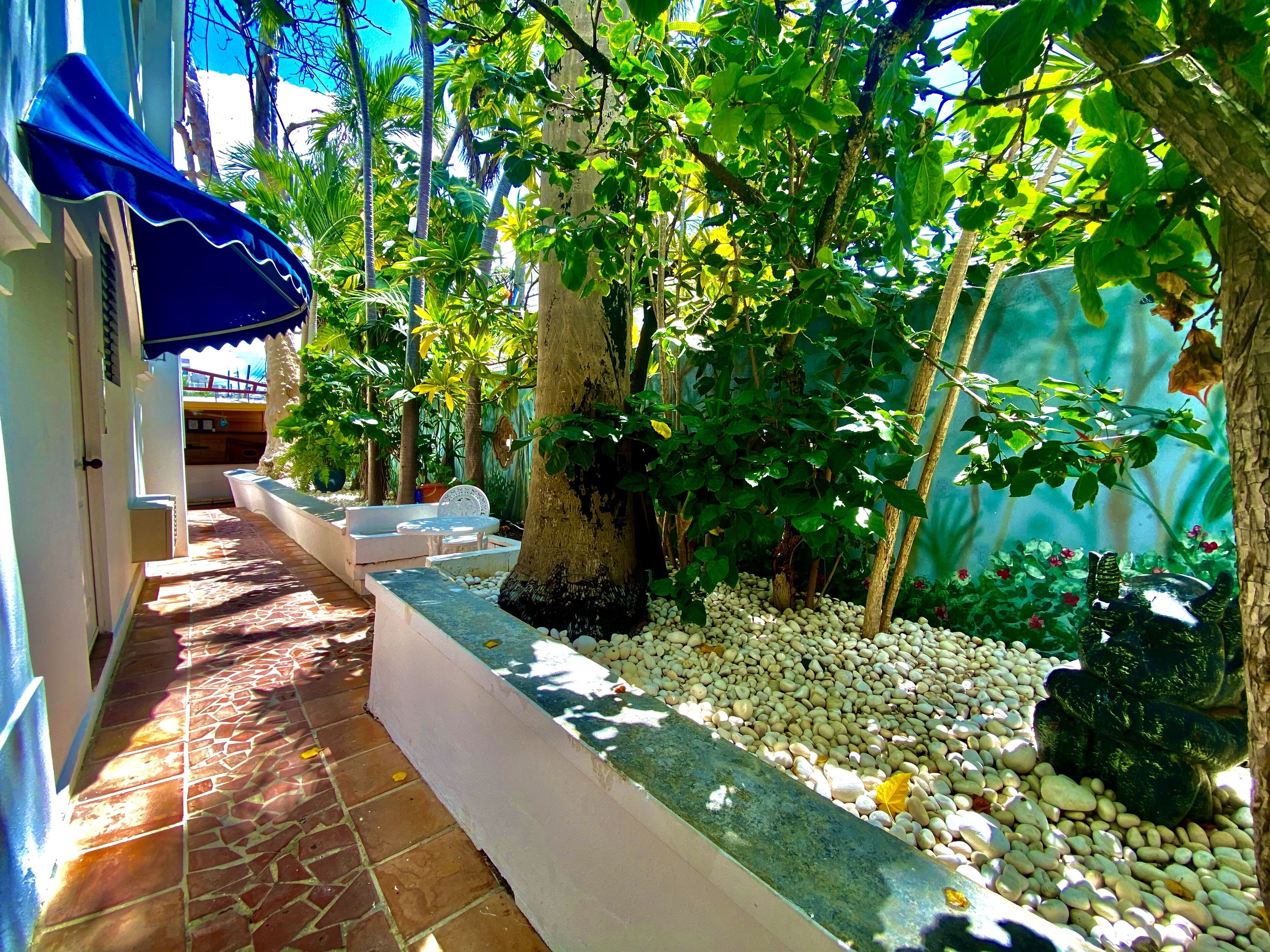 Double Double Standard | Garden view