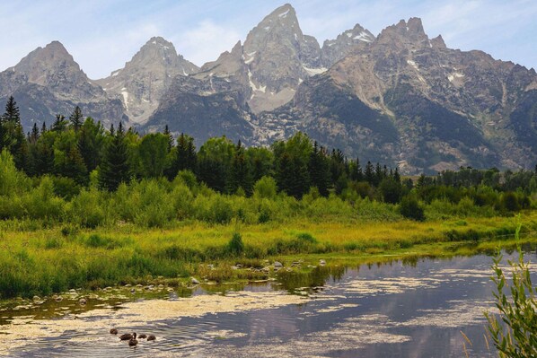 Paisaje montañoso con un río en primer plano y una zona boscosa.