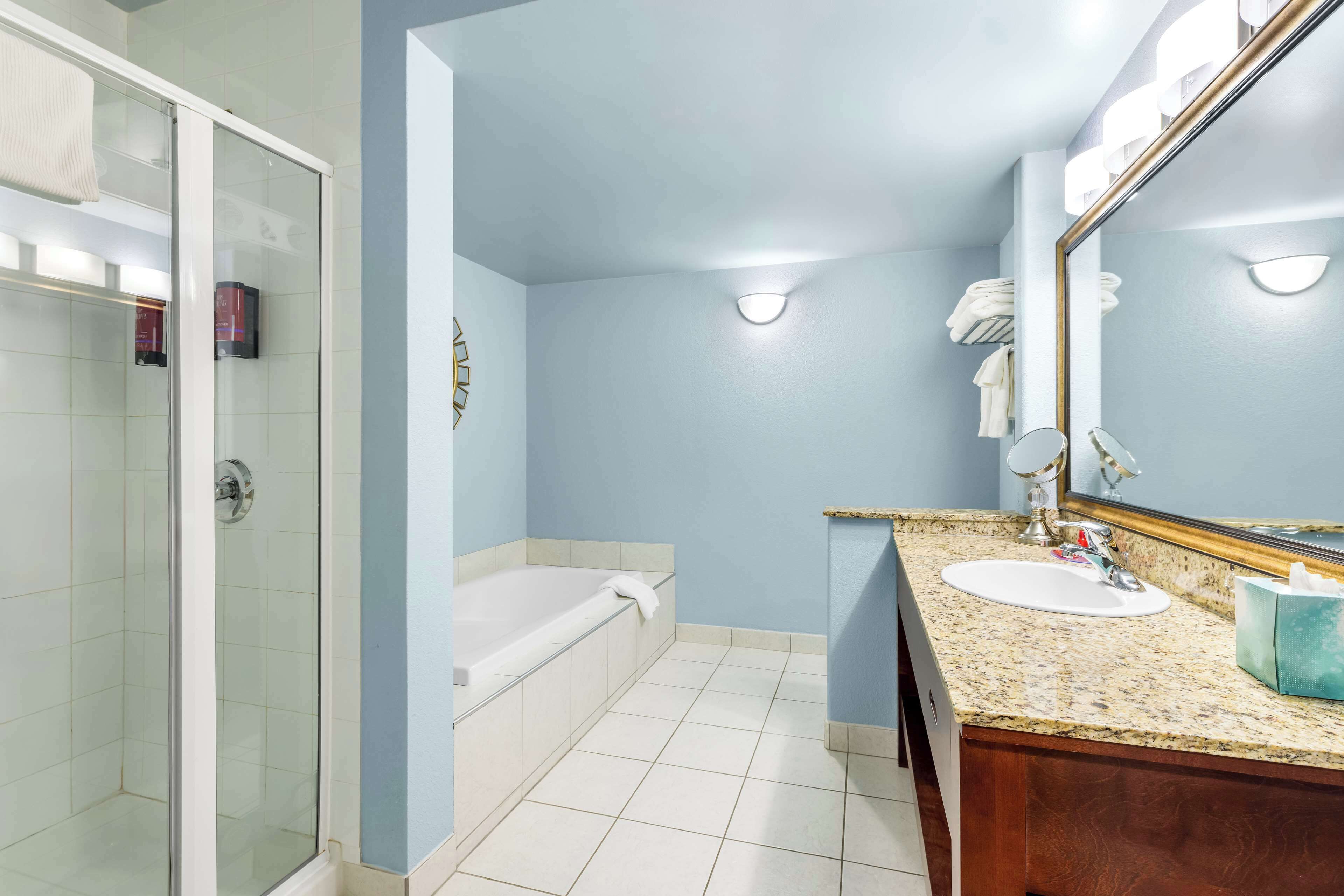 combined shower/bathtub, free toiletries, hair dryer, towels