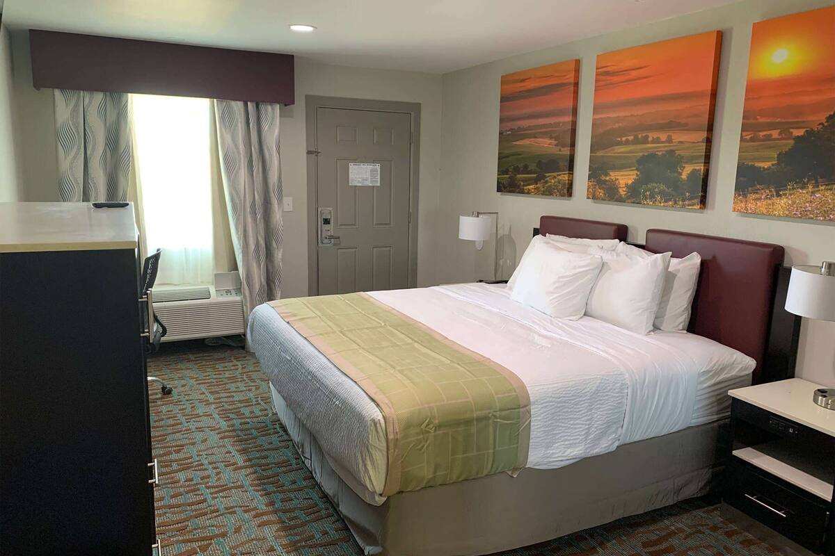 A hotel room with a bed, a desk, a chair, a lamp, and a window with curtains.