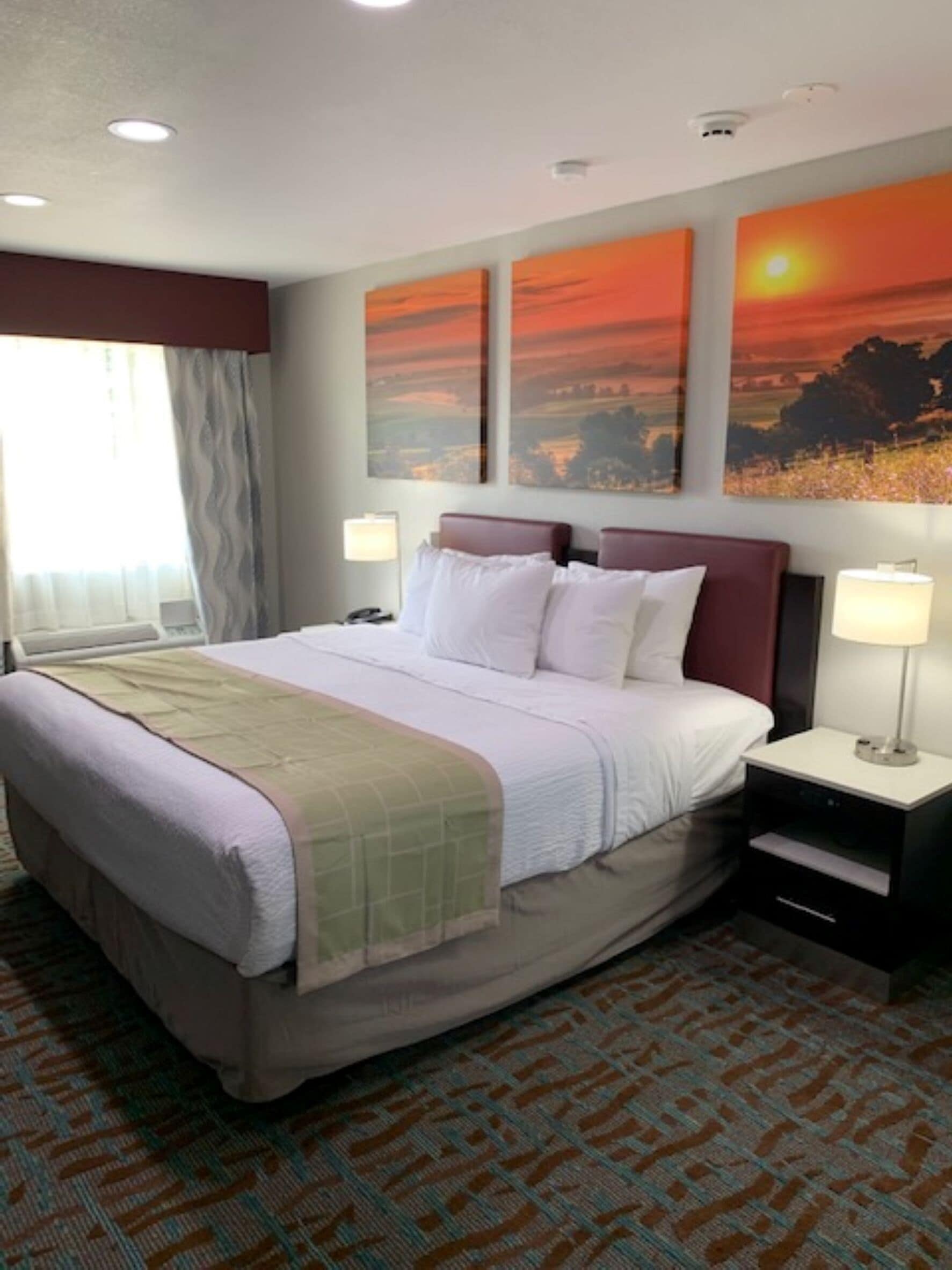 room, 1 king bed, non smoking | desk, iron/ironing board, free cots/infant beds, free wifi