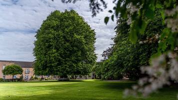A large, lush green lawn with a prominent tree in the foreground, a building with a brick facade in the background, and a clear sky.
