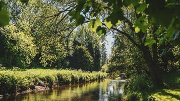 Un río rodeado de vegetación densa y árboles.