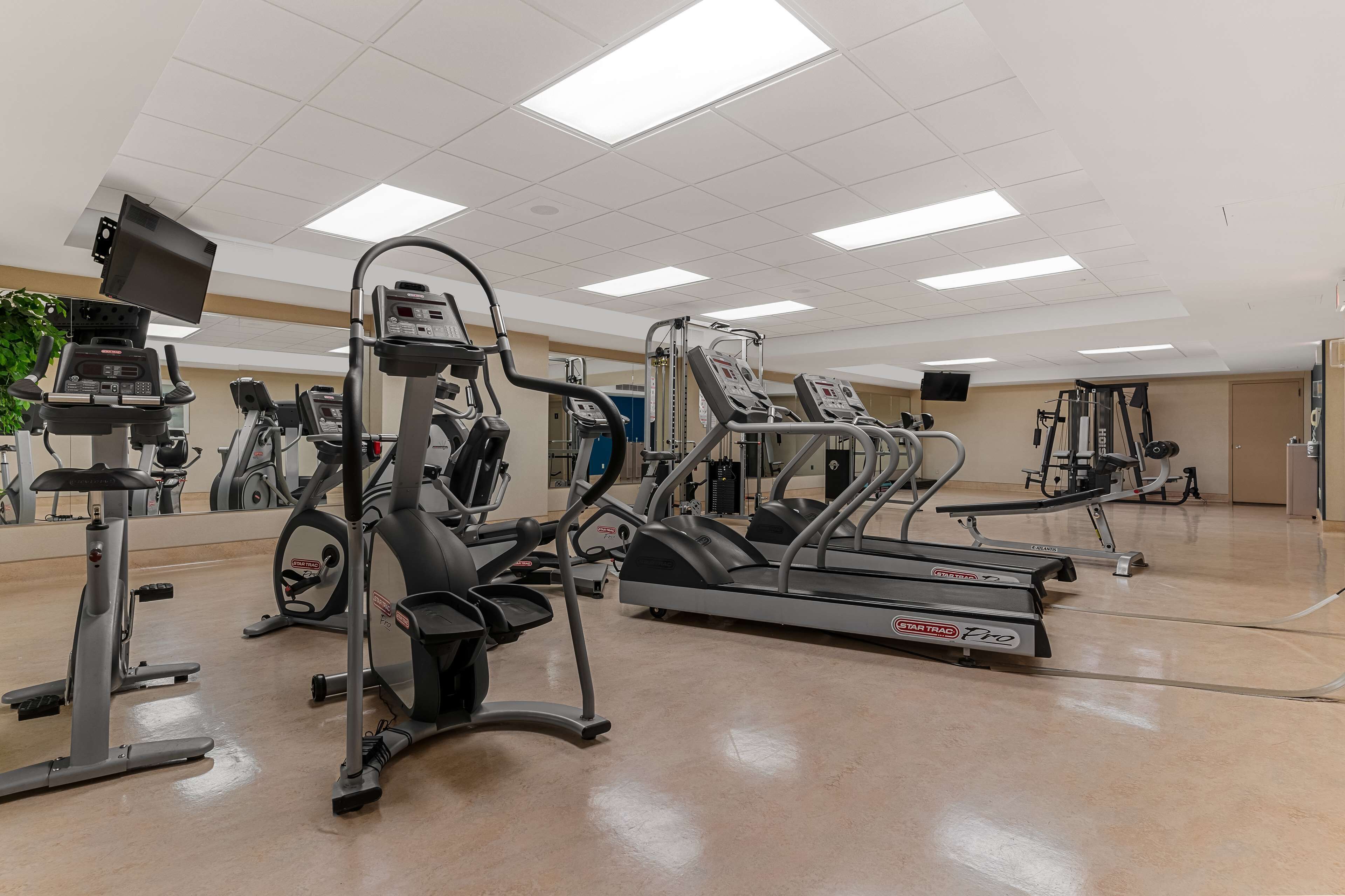 A gym with various cardio machines, including treadmills and elliptical trainers, under bright fluorescent lighting.