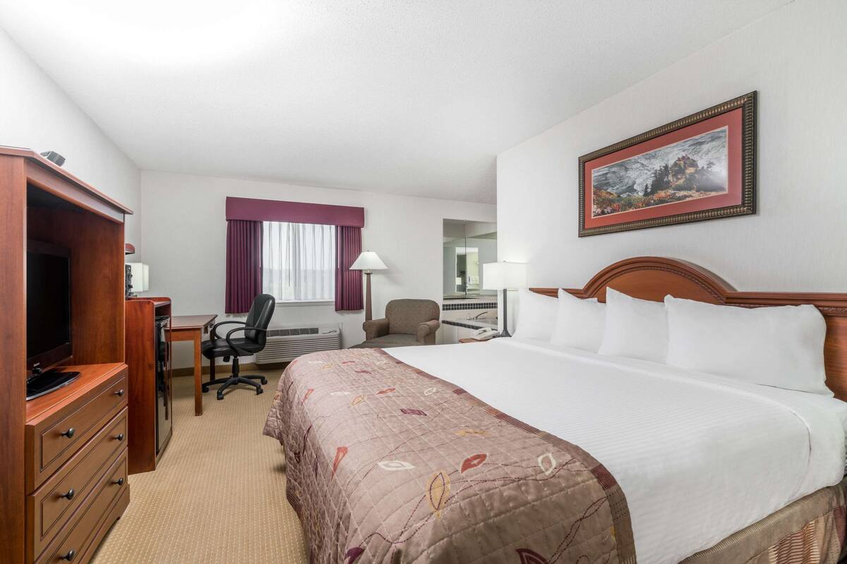 Une chambre d’hôtel avec un lit, un bureau, une chaise, une télévision et un tableau encadré au mur.