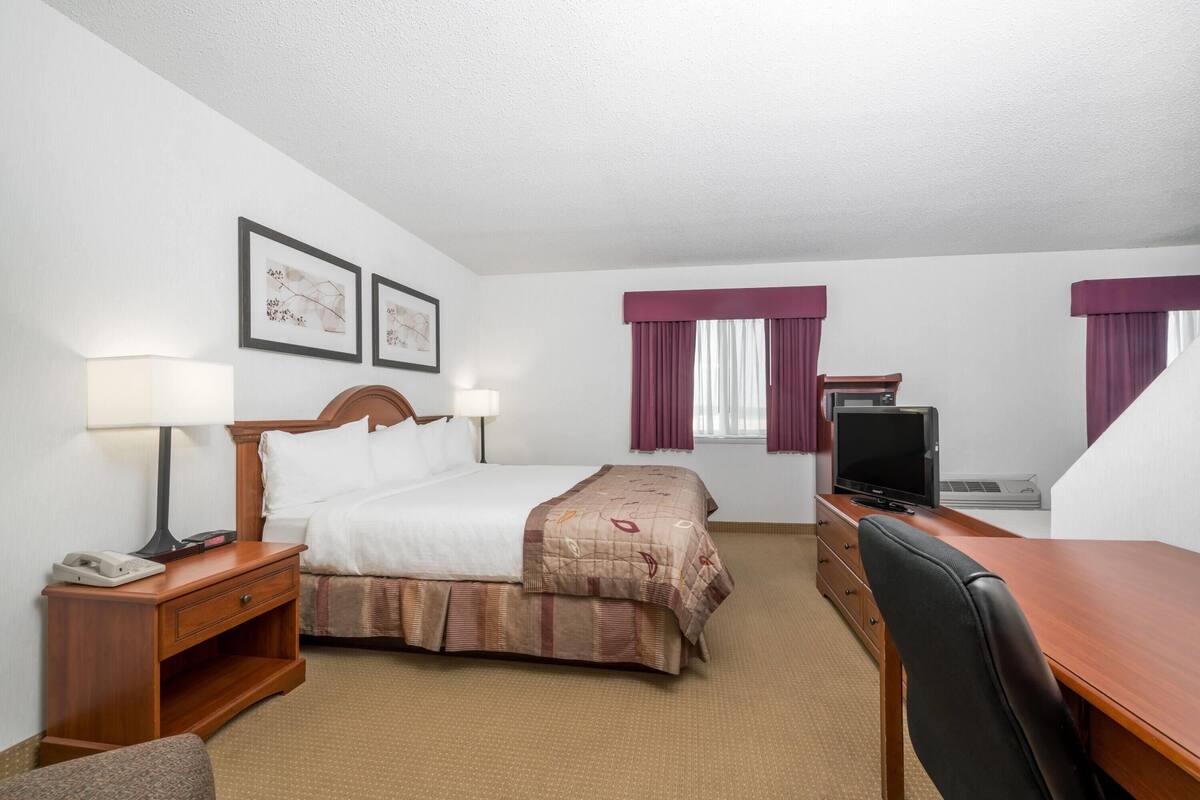 Une chambre d’hôtel comprenant un lit, une table de chevet, une lampe, une télévision, un bureau, une chaise et deux fenêtres avec des rideaux.
