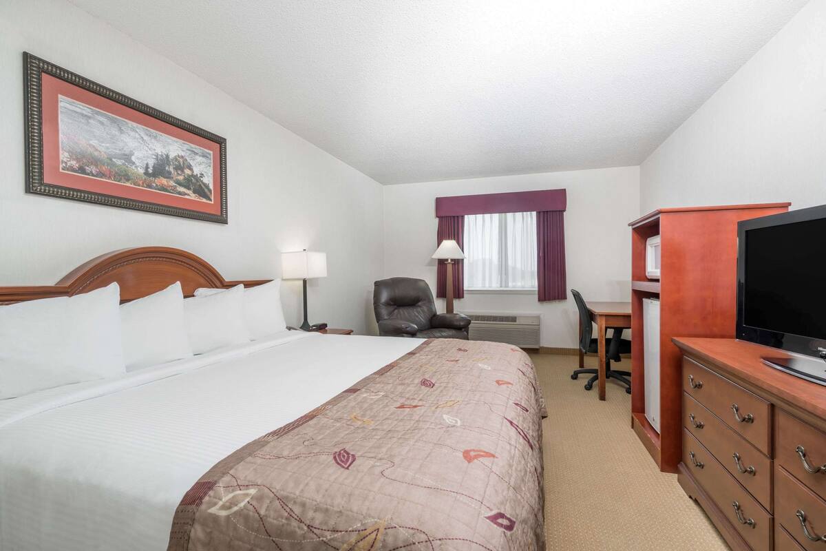 Une chambre d’hôtel avec un grand lit, un bureau, une chaise, une télévision et un tableau encadré au mur.