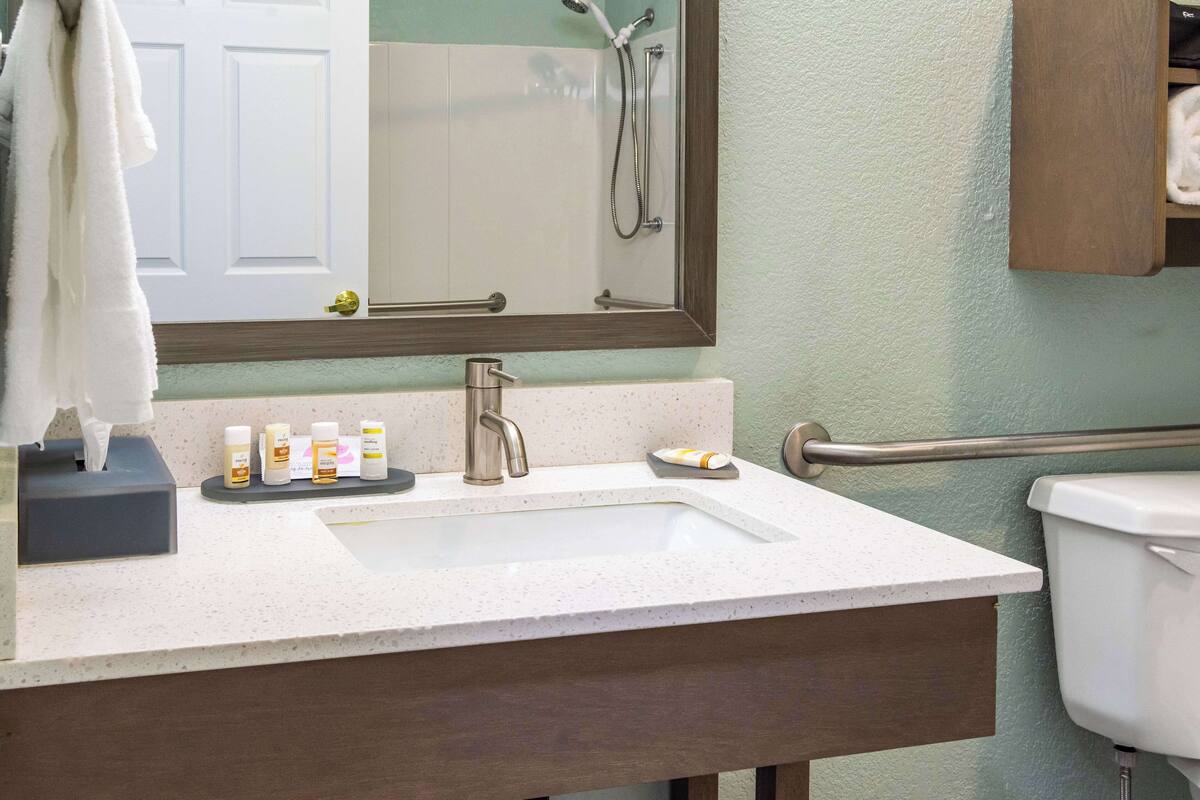 combined shower/bathtub, free toiletries, hair dryer, towels