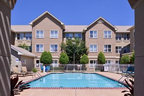 Seasonal outdoor pool, sun loungers