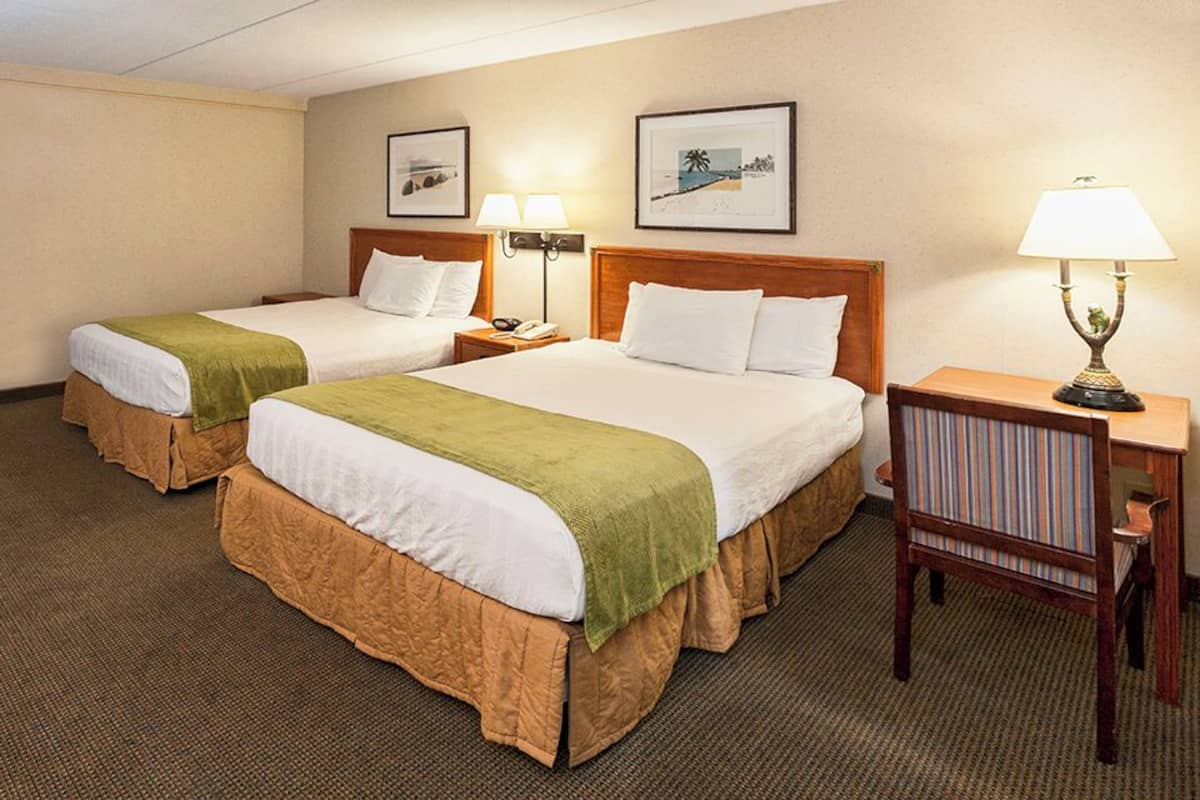 Chambre double, 2 lits doubles, accessible aux personnes à mobilité réduite, vue sur le lac | Bureau, espace de travail pour ordinateurs portables