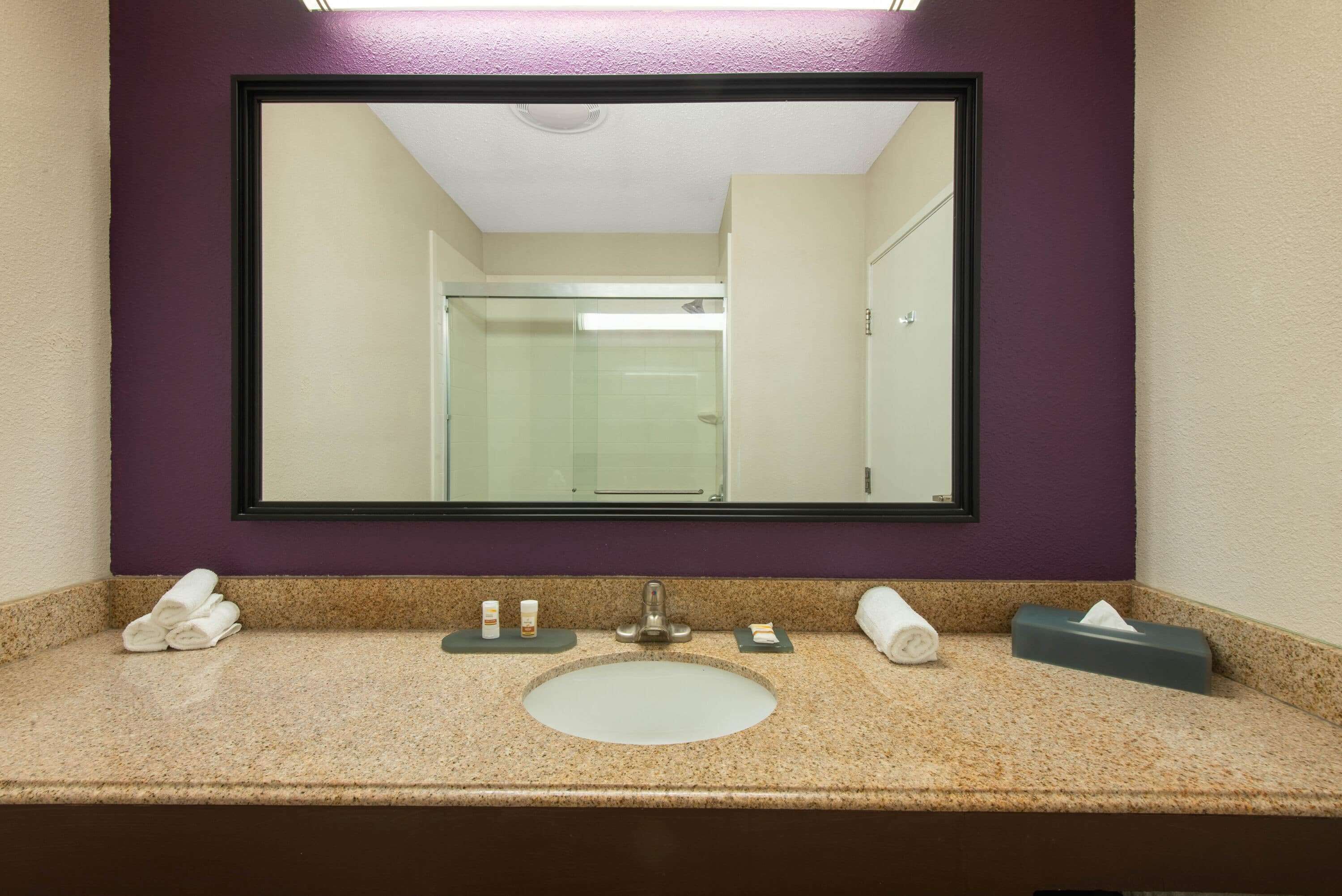 Une salle de bain avec un grand miroir, un lavabo et des articles de toilette.