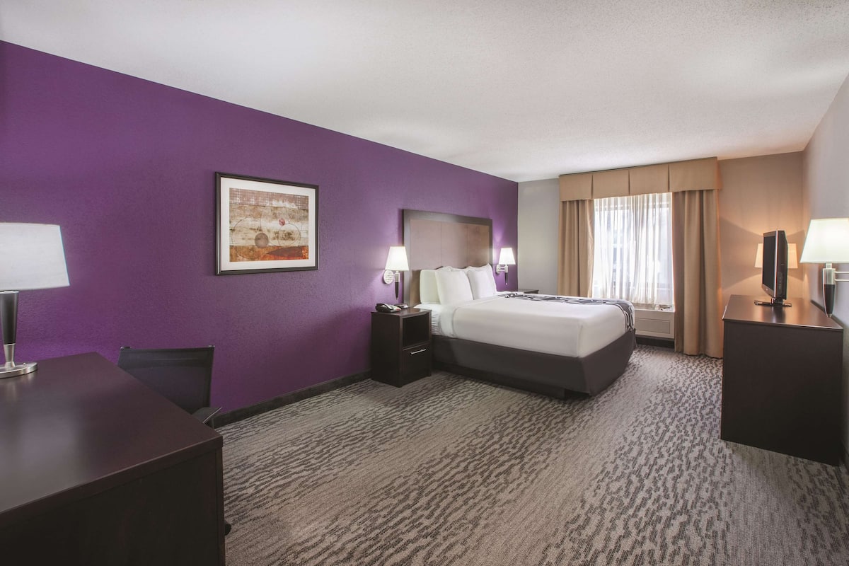 A hotel room with a purple wall, a bed, a desk, a chair, and a television.