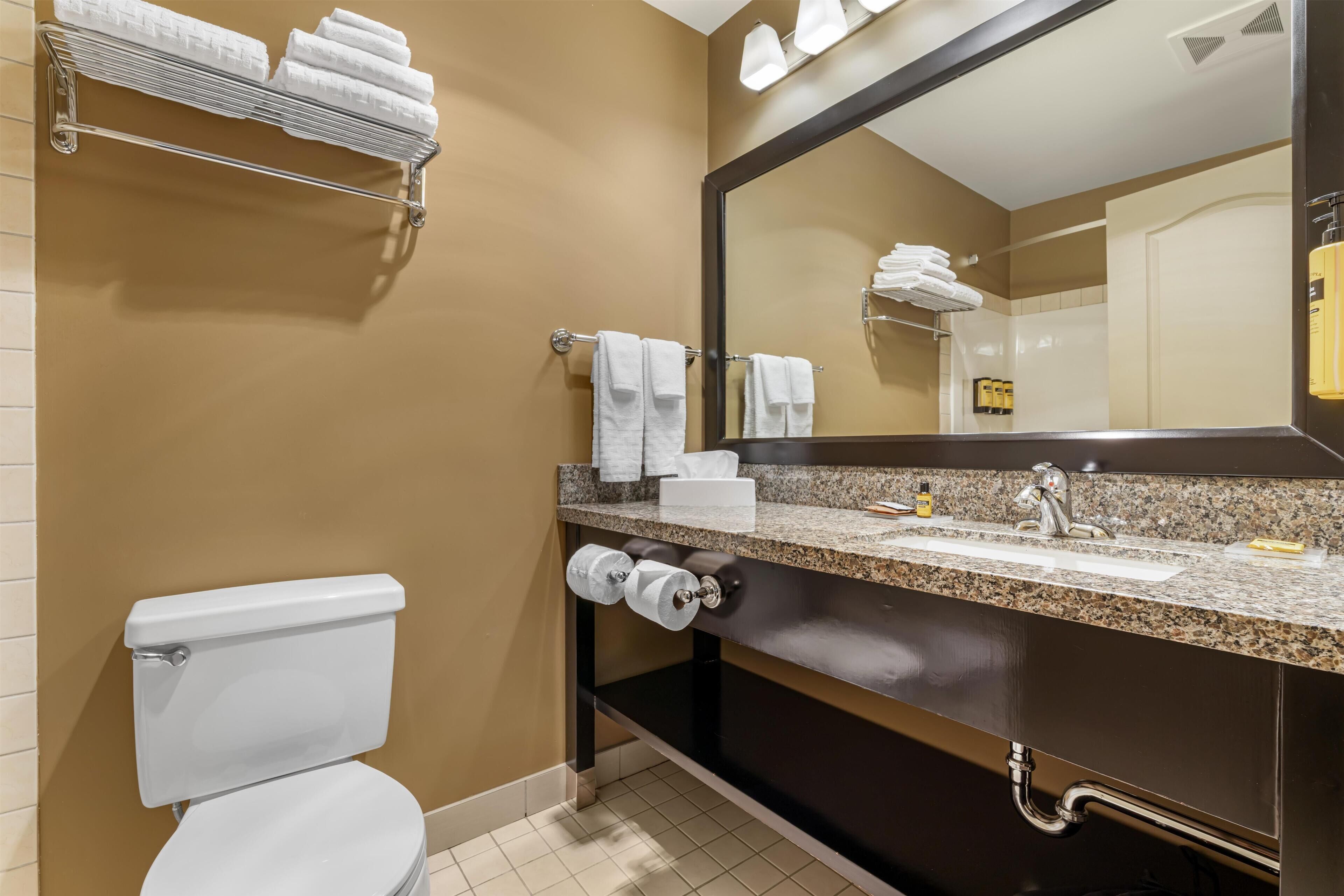 A bathroom with a toilet, sink, mirror, towel rack, and toilet paper.