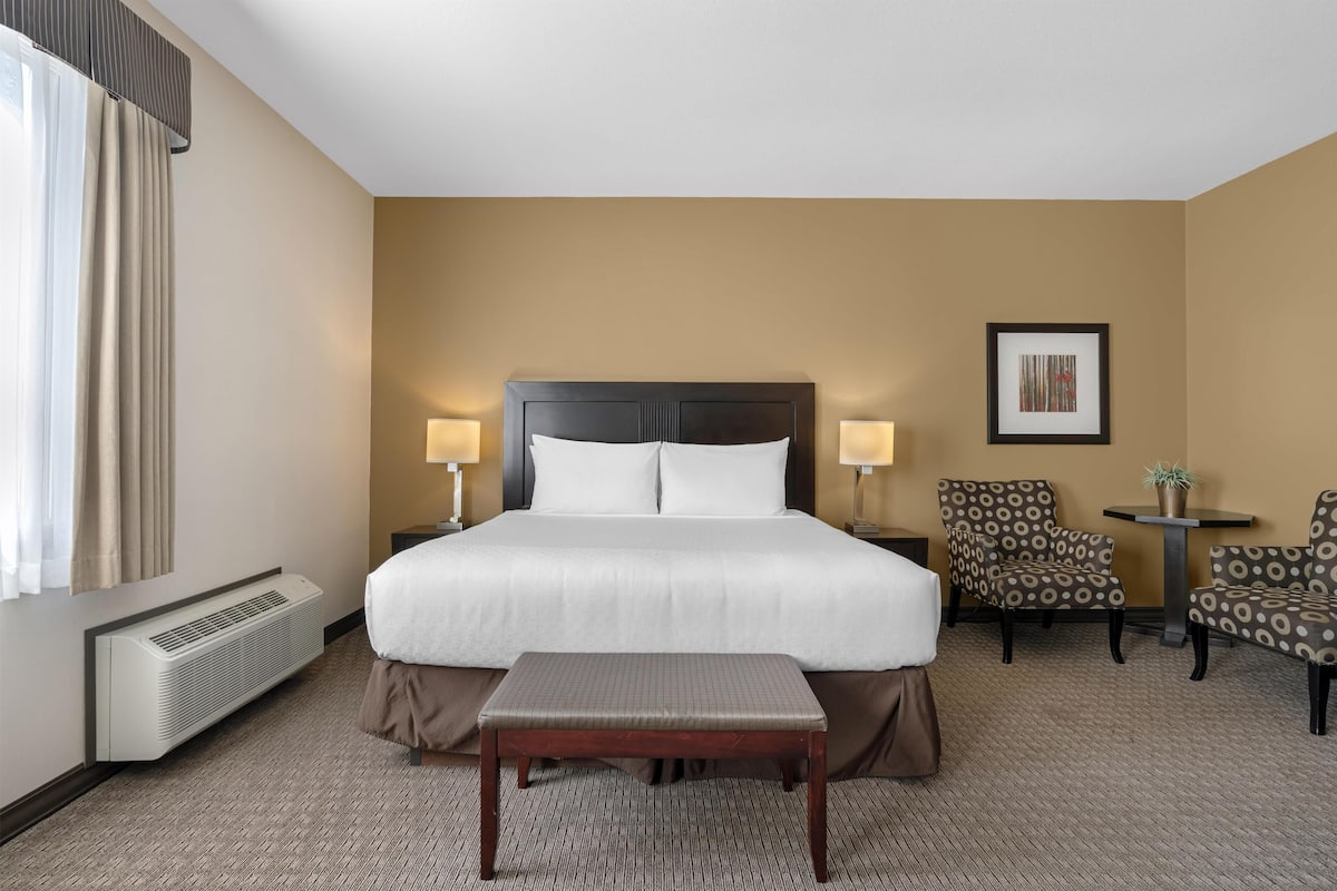 Standard Room, 1 King Bed, Non Smoking, Refrigerator & Microwave (with Sofabed)