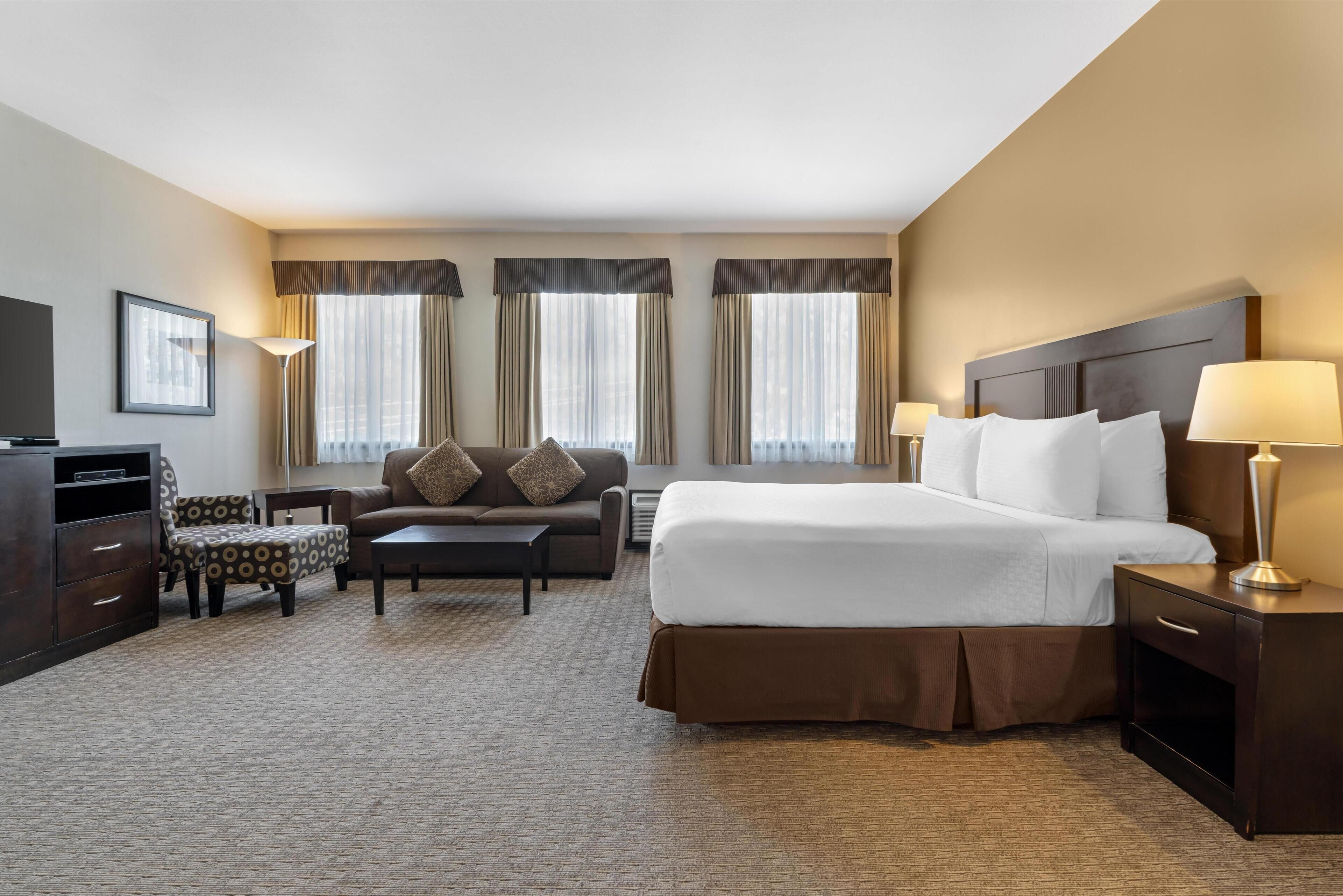 Standard Room, 1 King Bed, Non Smoking, Jetted Tub (with Sofabed) | Premium bedding, pillowtop beds, in-room safe, desk