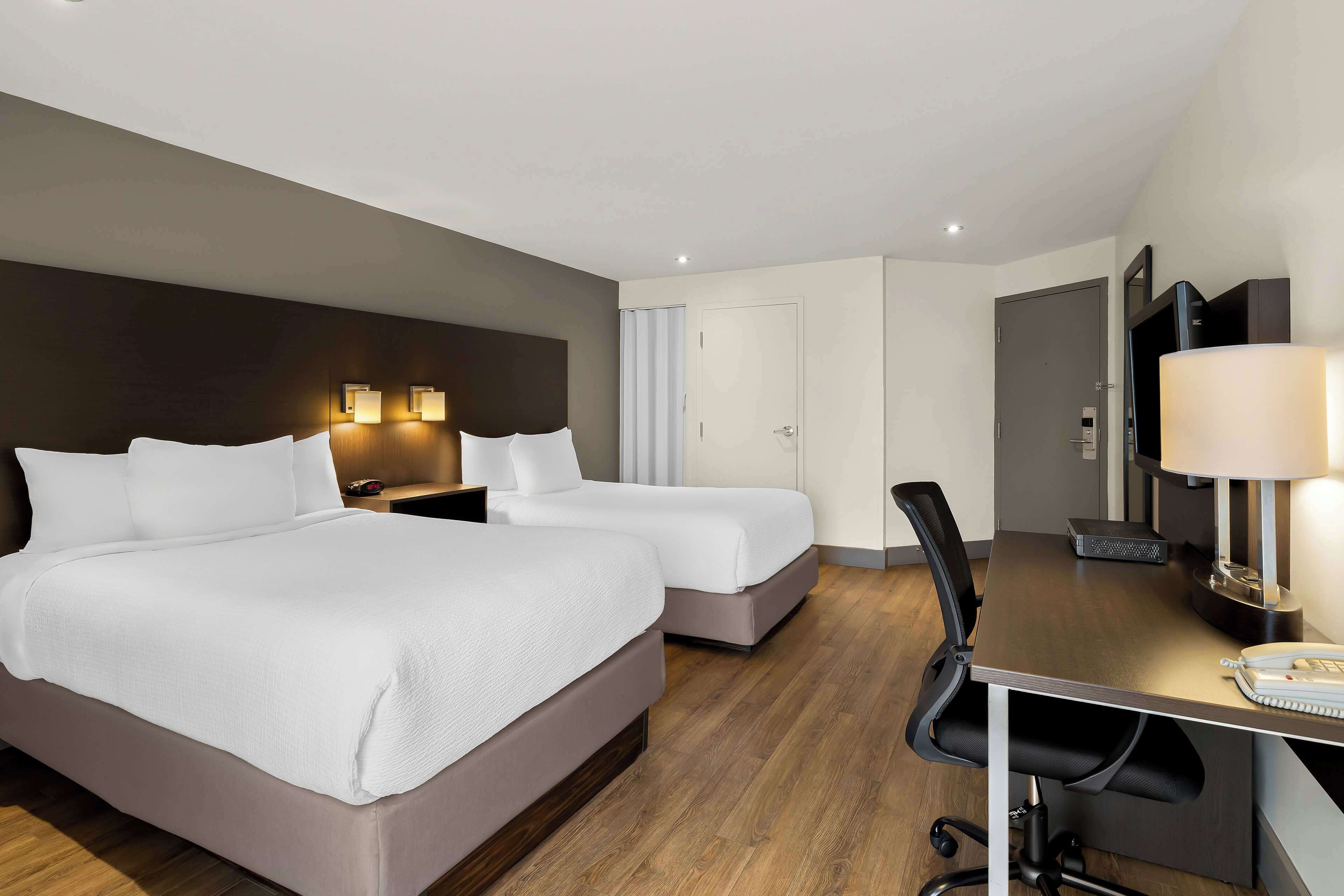 standard room, 2 double beds, accessible, refrigerator (refrigerator) | premium bedding, down duvets, pillow-top beds, blackout curtains