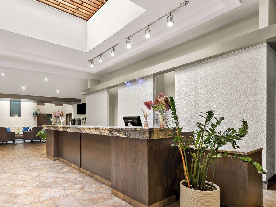 A reception area with a marble counter, a large potted plant, and a seating area with sofas and a coffee machine.